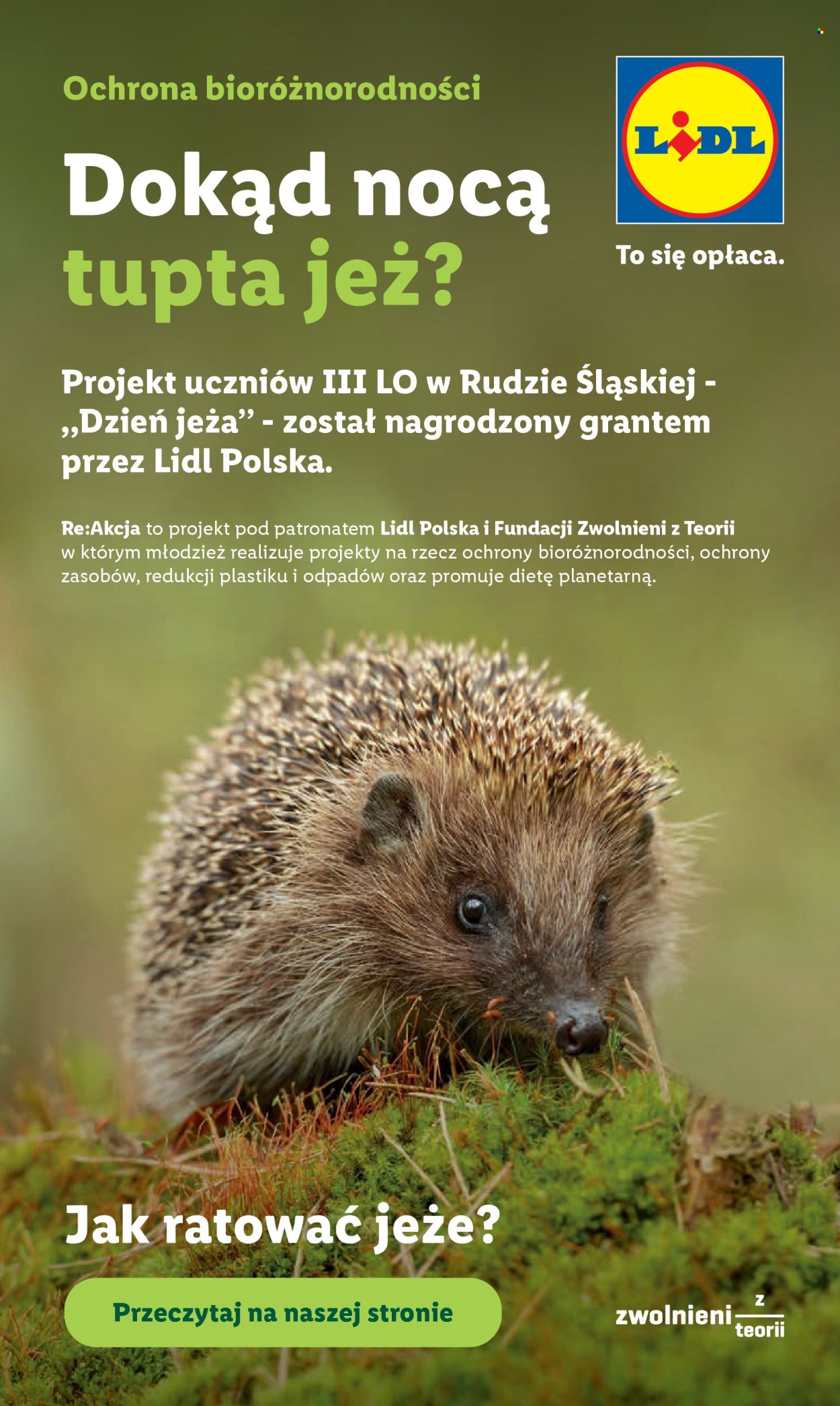 Leták Lidl - 15.6.2026 - 17.6.2026. Strana 101