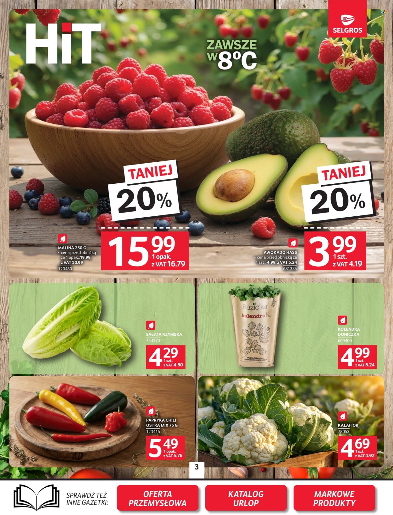 Gazetka Selgros - 18.06.2026 - 1.07.2026. Strona 3