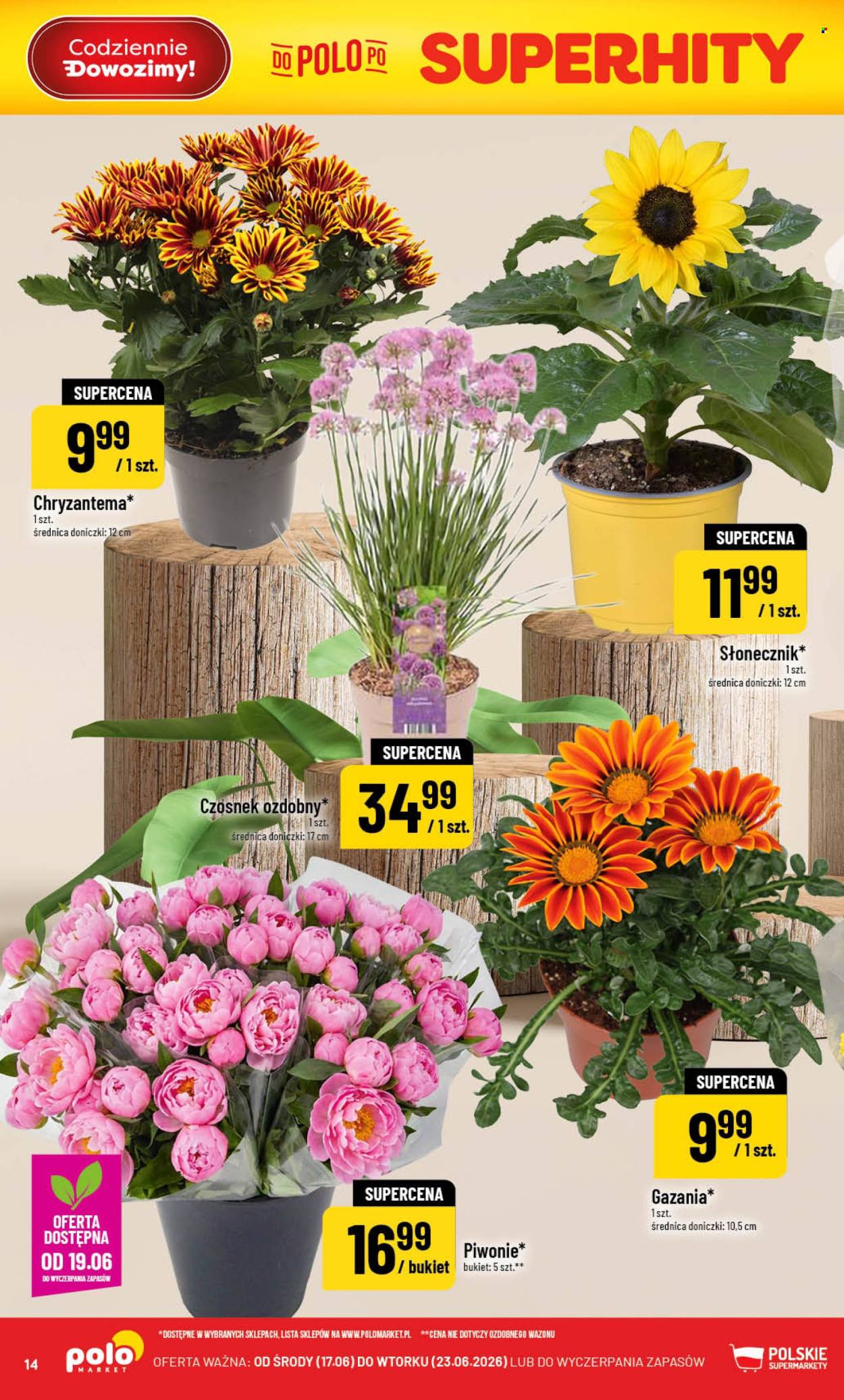 Gazetka Polomarket - 17.06.2026 - 23.06.2026. Strona 14