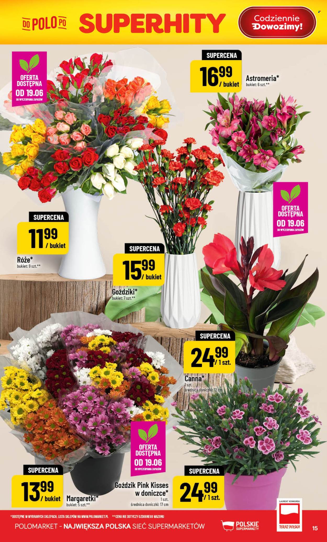 Gazetka Polomarket - 17.06.2026 - 23.06.2026. Strona 15