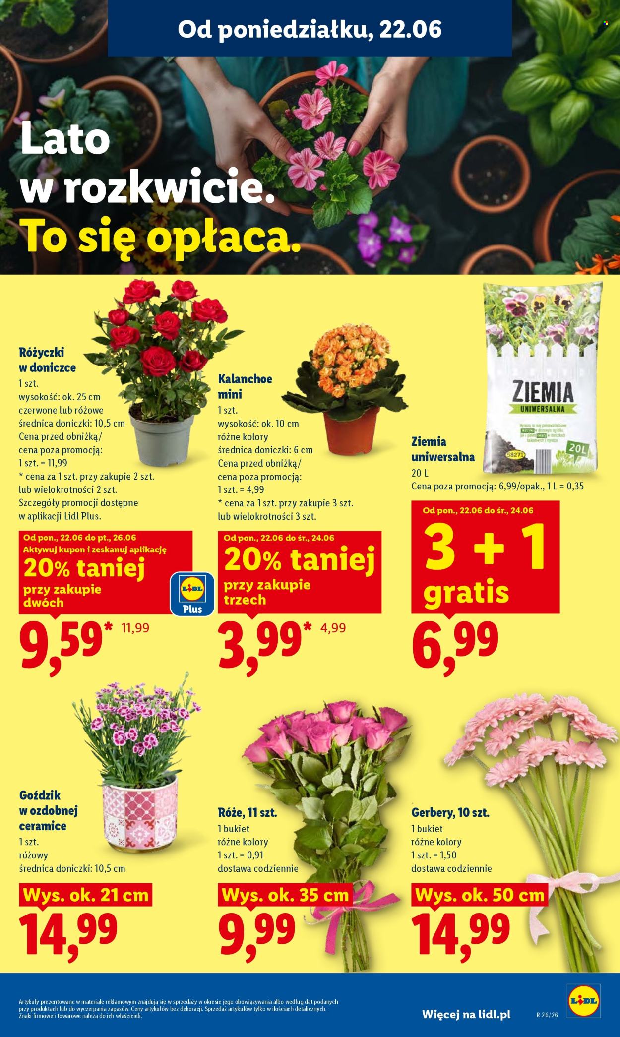 Leták Lidl - 22.6.2026 - 24.6.2026. Strana 87
