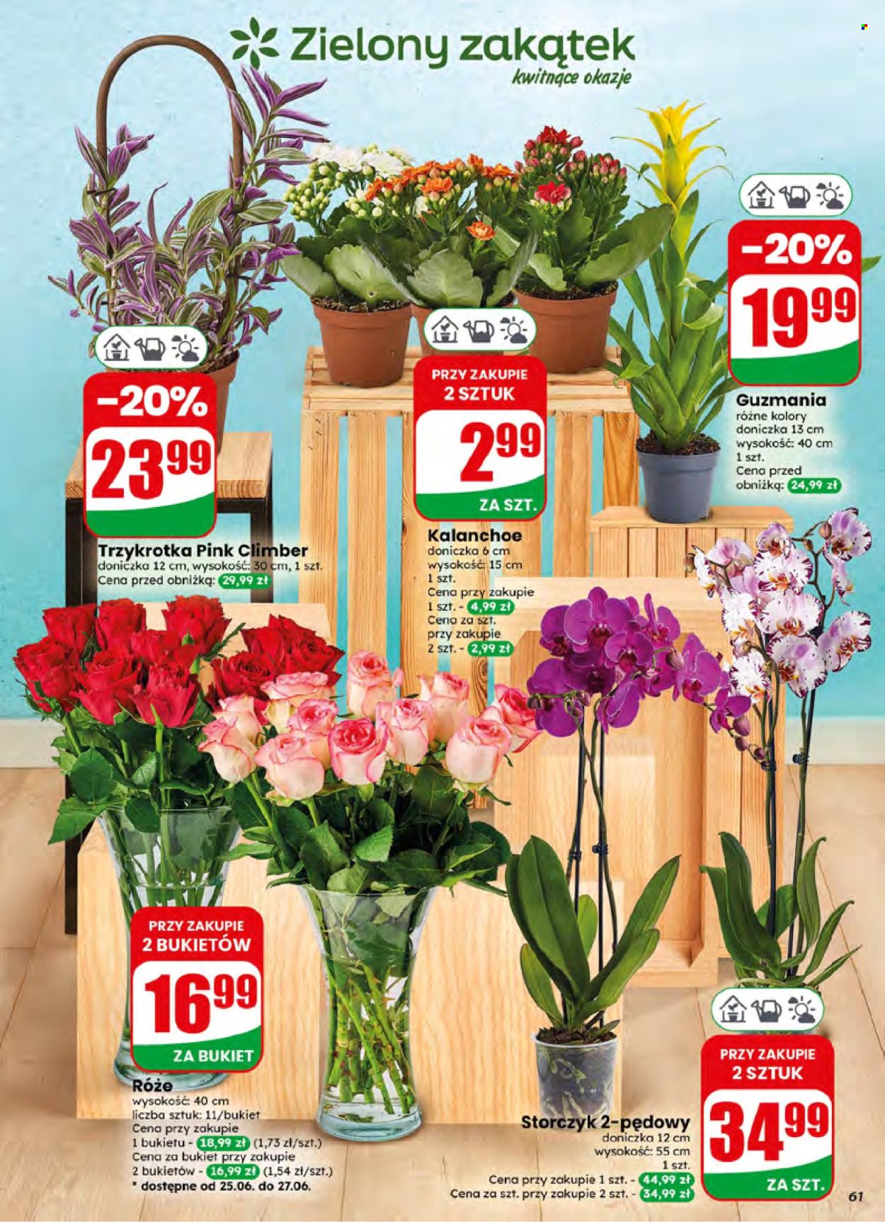 Gazetka Dino - 24.06.2026 - 30.06.2026. Strona 61