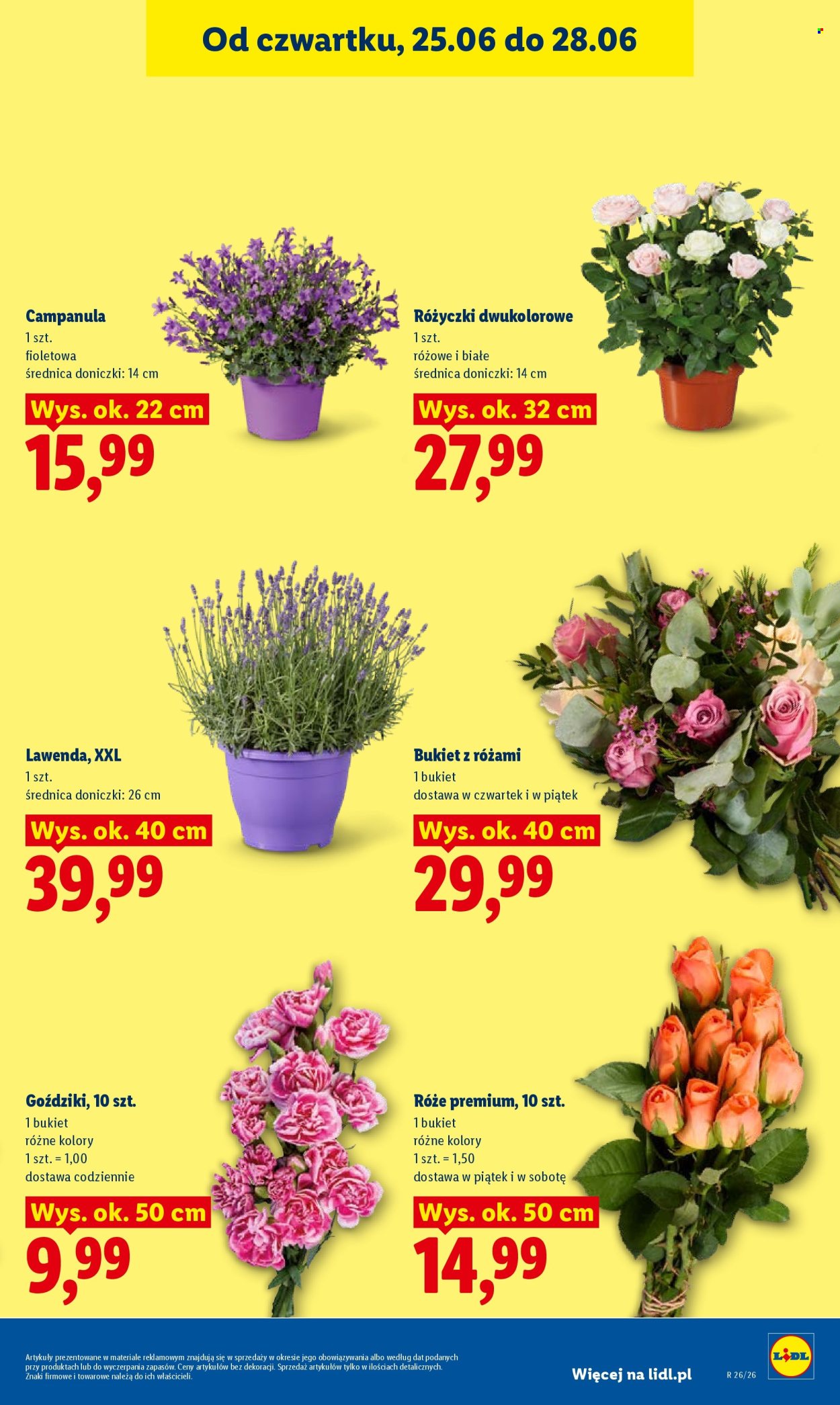 Gazetka Lidl - 25.06.2026 - 28.06.2026. Strona 41