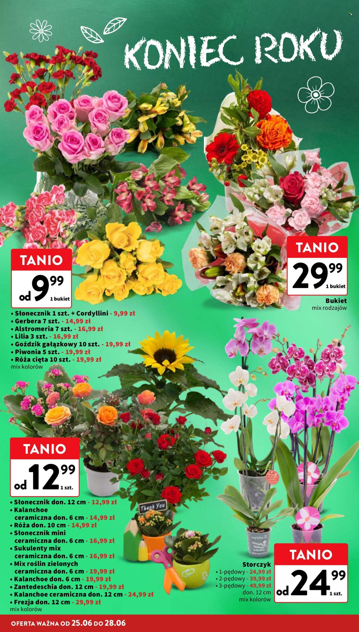 Gazetka Intermarché - 25.06.2026 - 1.07.2026. Strona 22