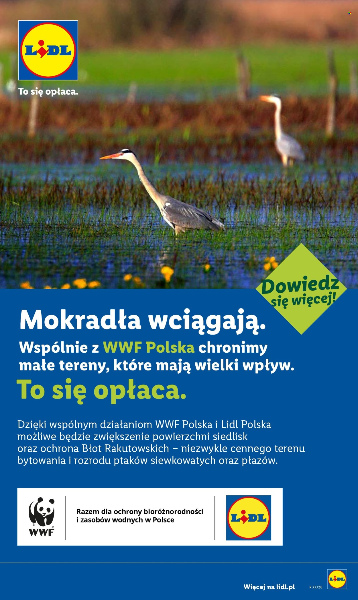 Gazetka Lidl - 6.07.2026 - 11.07.2026. Strona 60