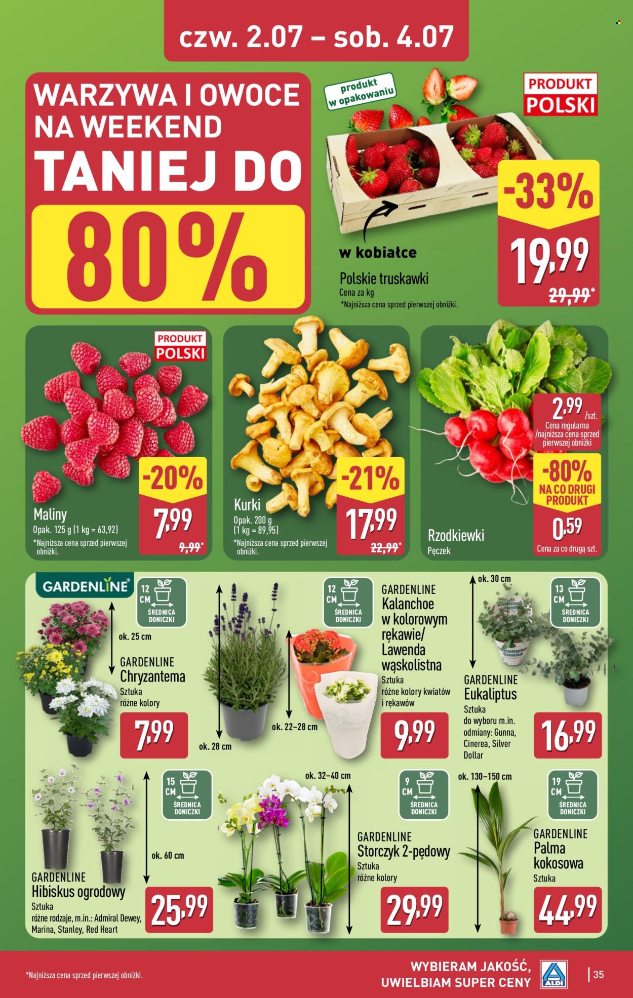 Gazetka ALDI - 29.06.2026 - 4.07.2026. Strona 35