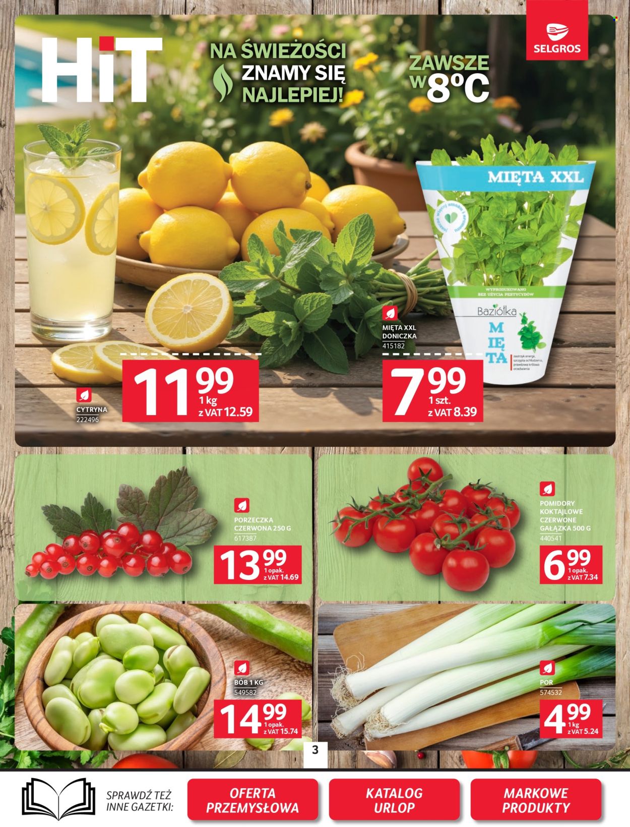 Gazetka Selgros - 2.07.2026 - 15.07.2026. Strona 3