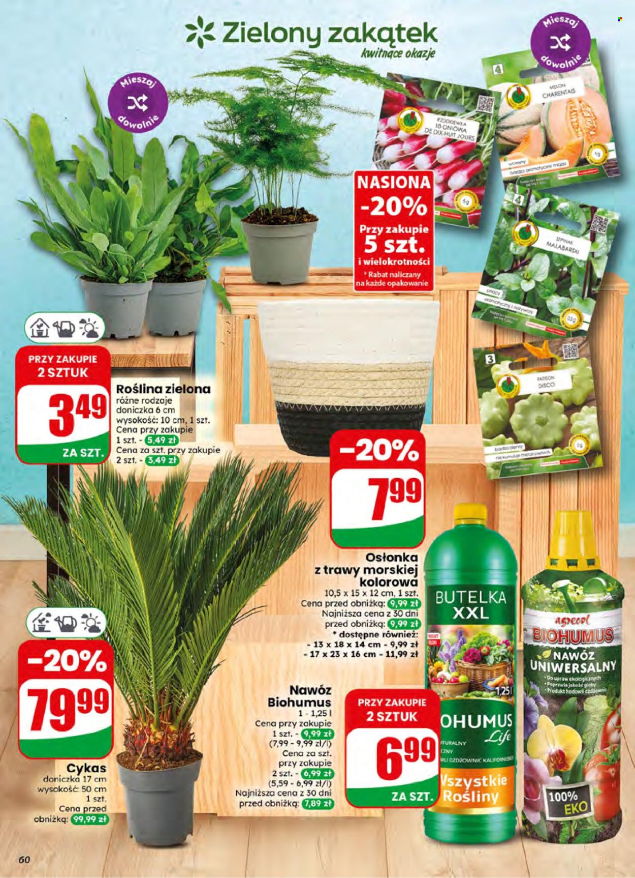Gazetka Dino - 1.07.2026 - 7.07.2026. Strona 60