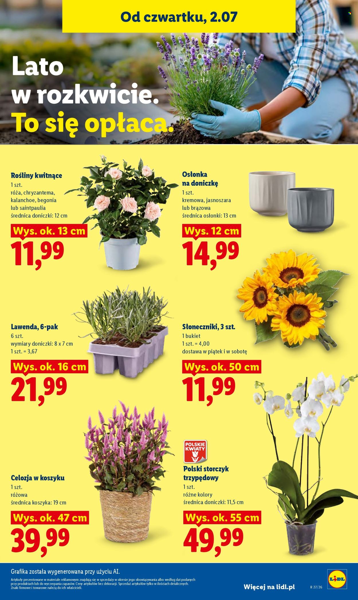 Gazetka Lidl - 2.07.2026 - 4.07.2026. Strona 81