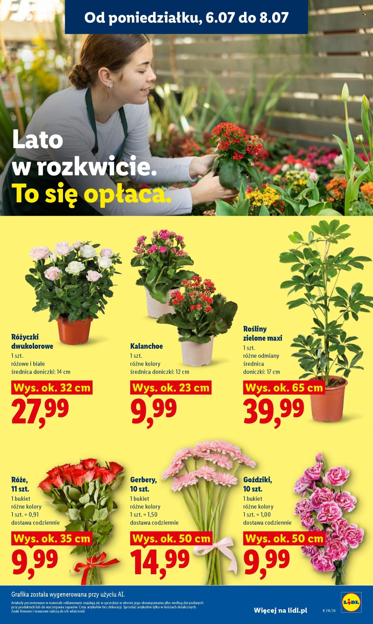 Leták Lidl - 6.7.2026 - 8.7.2026. Strana 87