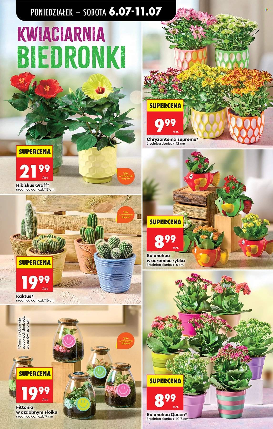 Gazetka Biedronka - 6.07.2026 - 11.07.2026. Strona 63