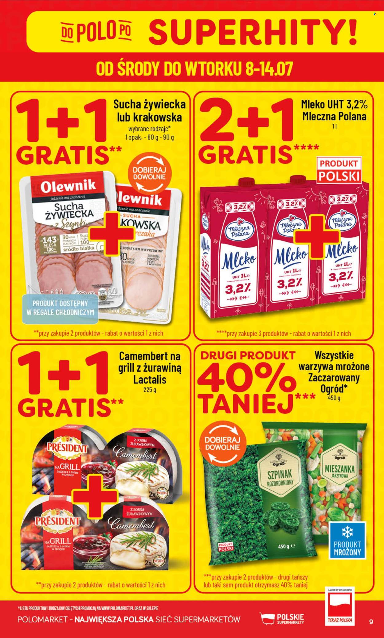 Gazetka Polomarket - 8.07.2026 - 14.07.2026. Strona 9