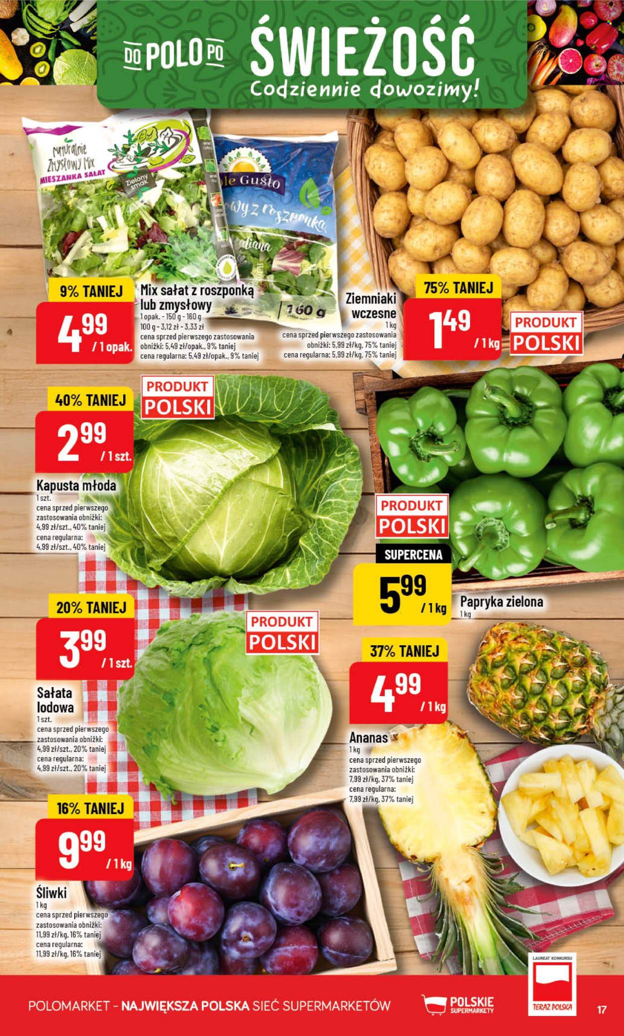 Gazetka Polomarket - 8.07.2026 - 14.07.2026. Strona 17