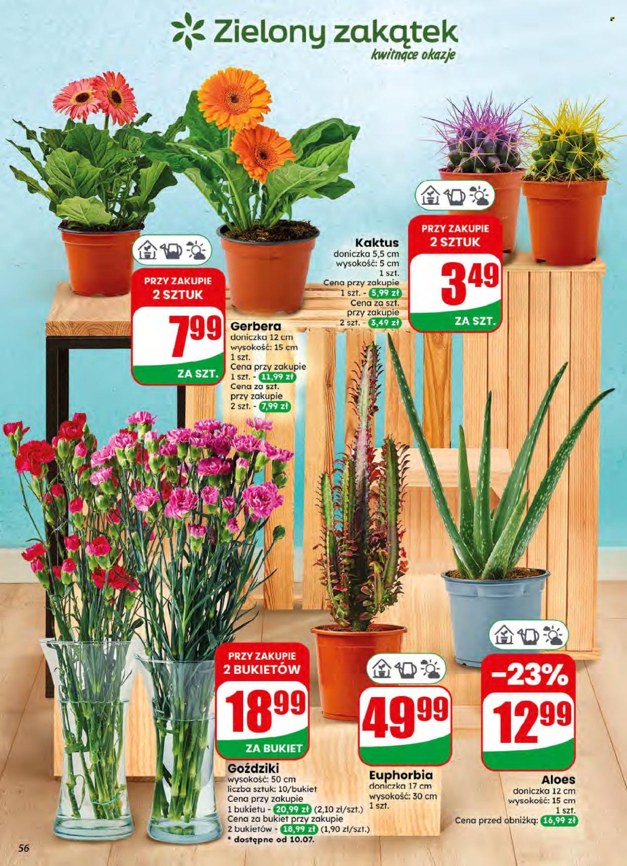 Gazetka Dino - 8.07.2026 - 14.07.2026. Strona 56