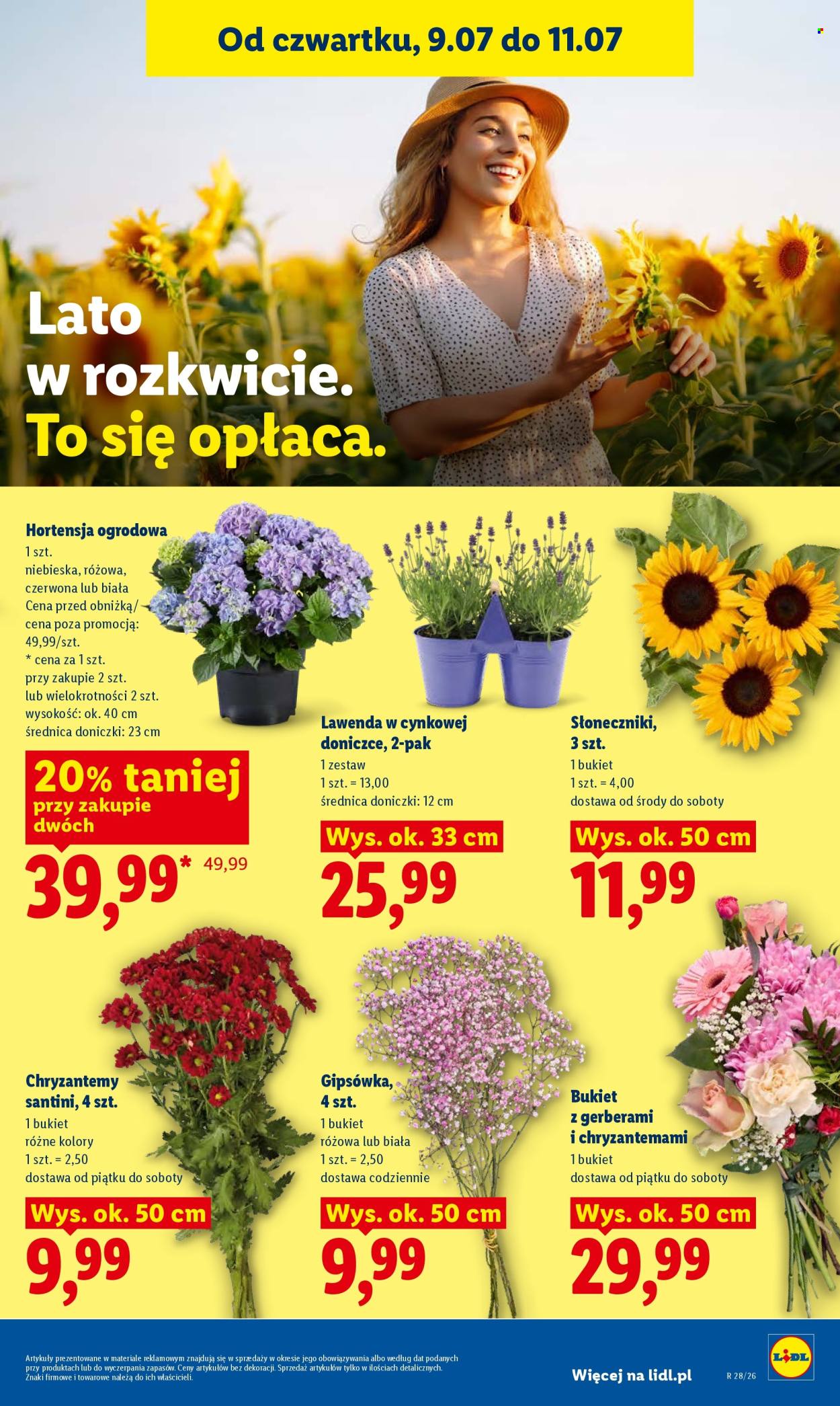 Leták Lidl - 9.7.2026 - 11.7.2026. Strana 85