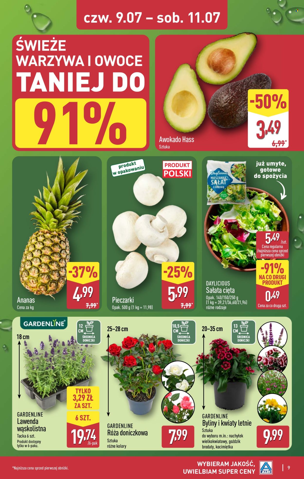 Gazetka ALDI - 9.07.2026 - 11.07.2026. Strona 9
