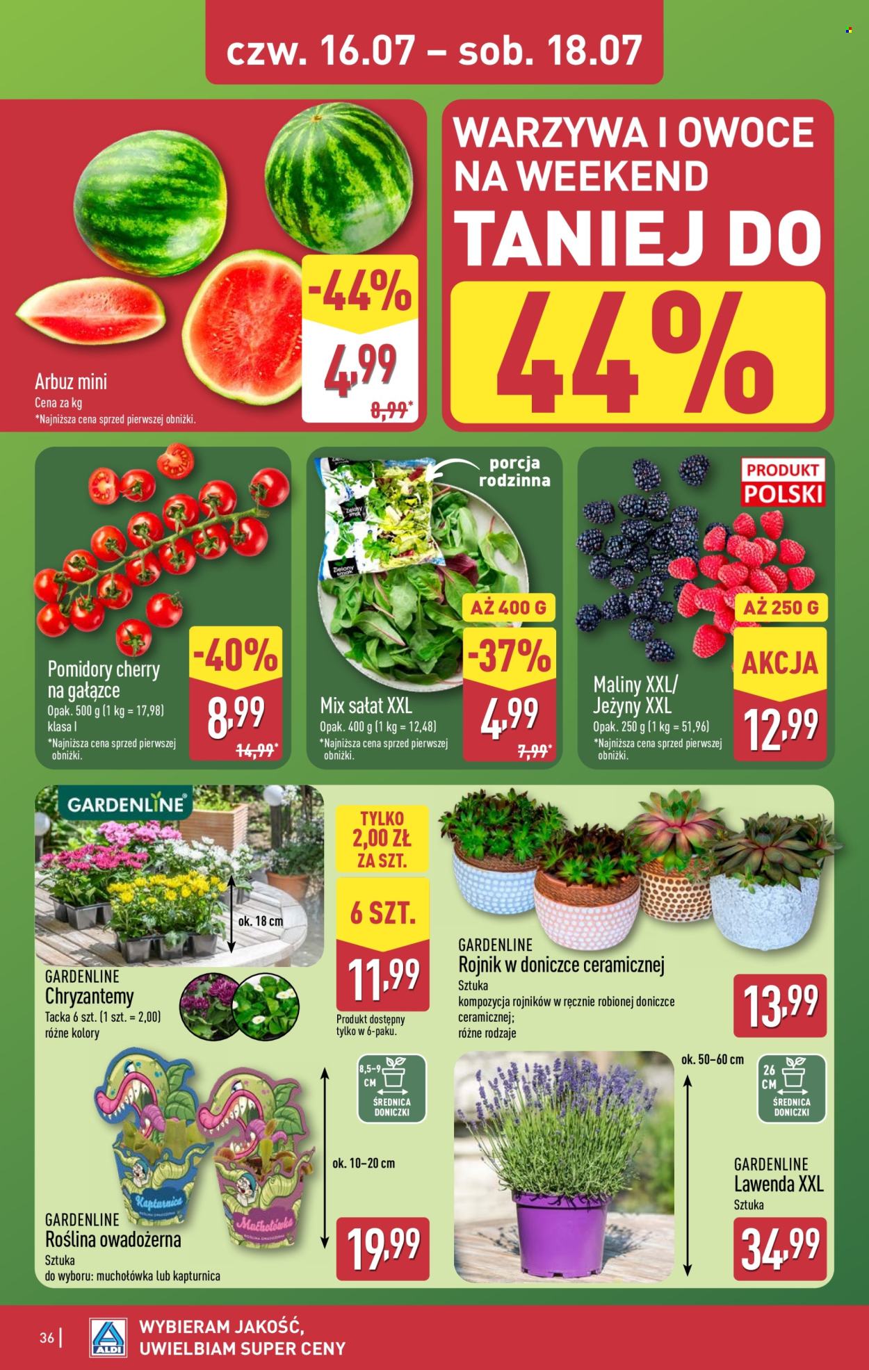 Gazetka ALDI - 13.07.2026 - 18.07.2026. Strona 36