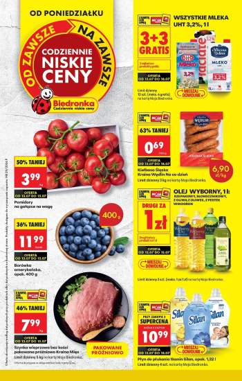 Gazetka Biedronka - 13.07.2026 - 18.07.2026.