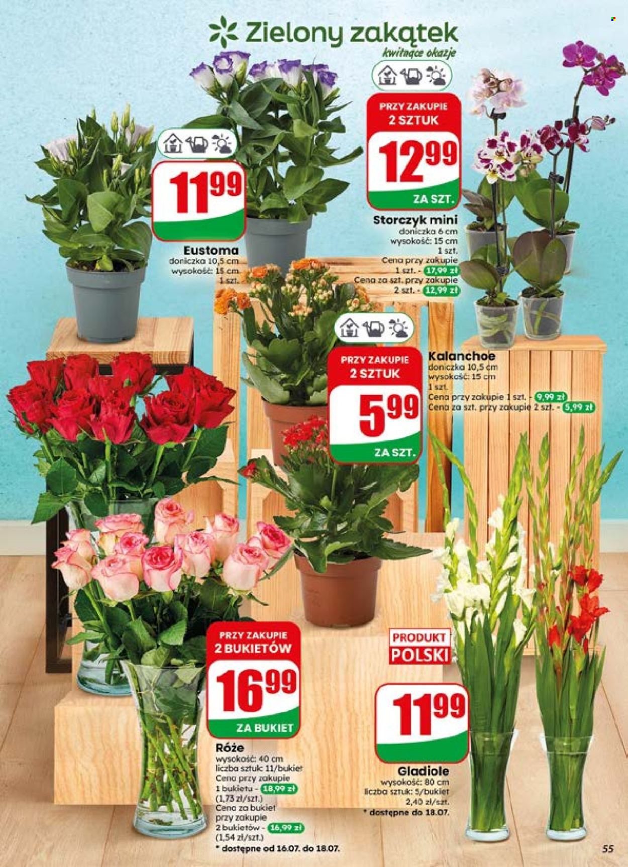 Gazetka Dino - 15.07.2026 - 21.07.2026. Strona 55