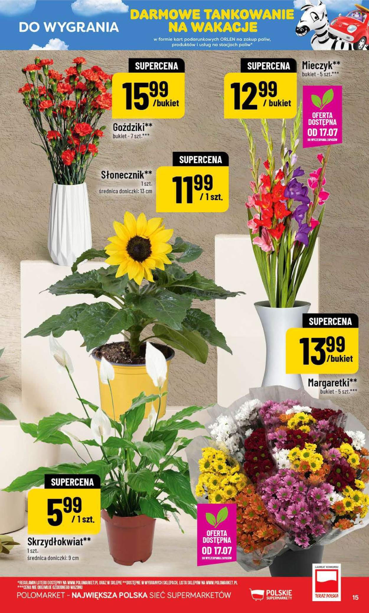 Gazetka Polomarket - 15.07.2026 - 21.07.2026. Strona 15