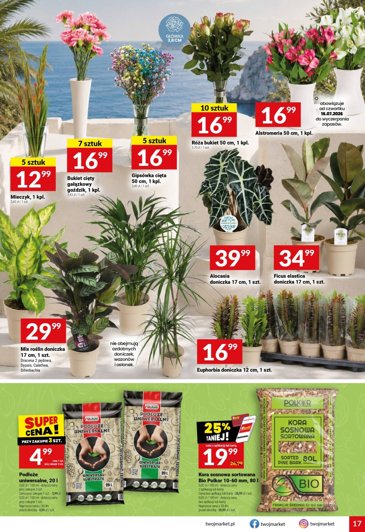 Gazetka Twój Market - 15.07.2026 - 21.07.2026. Strona 17