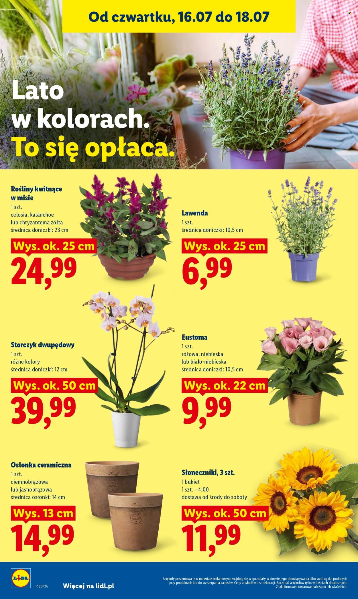 Gazetka Lidl - 16.07.2026 - 18.07.2026. Strona 94
