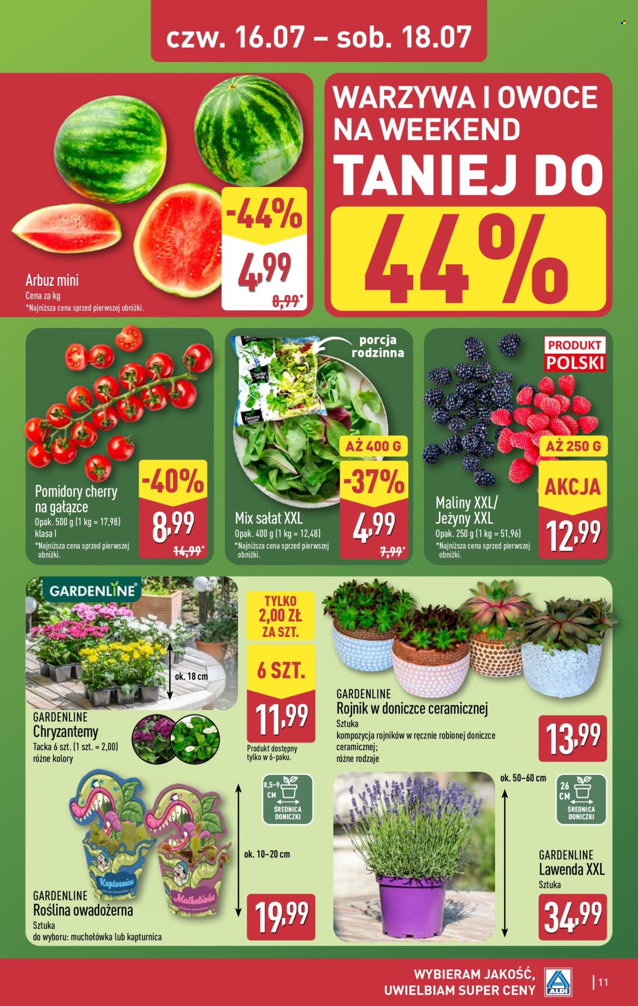 Gazetka ALDI - 16.07.2026 - 18.07.2026. Strona 11