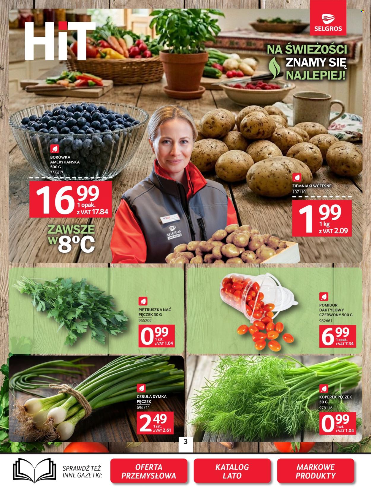 Gazetka Selgros - 16.07.2026 - 29.07.2026. Strona 3