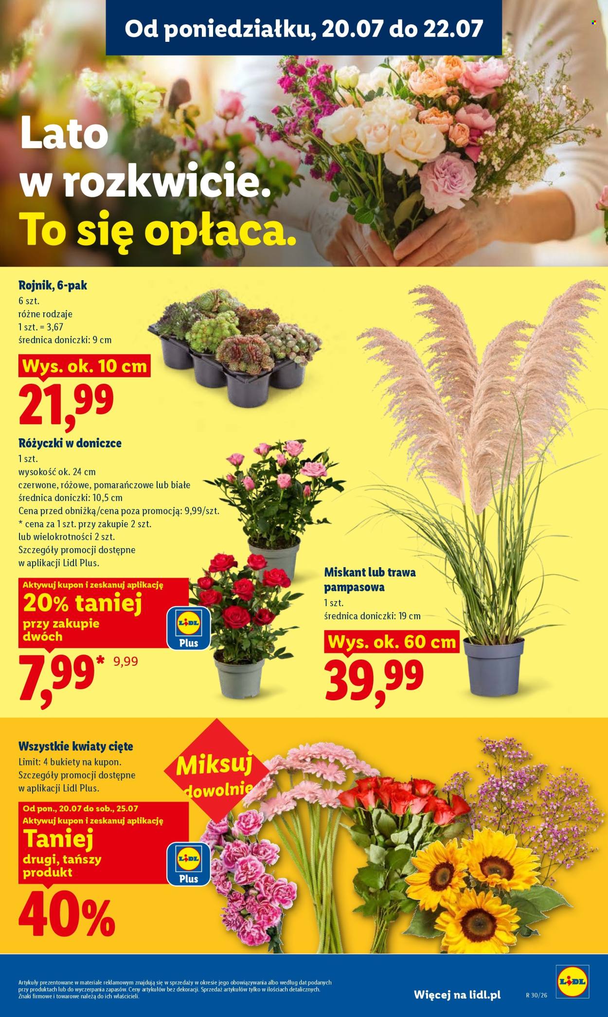 Gazetka Lidl - 20.07.2026 - 22.07.2026. Strona 99