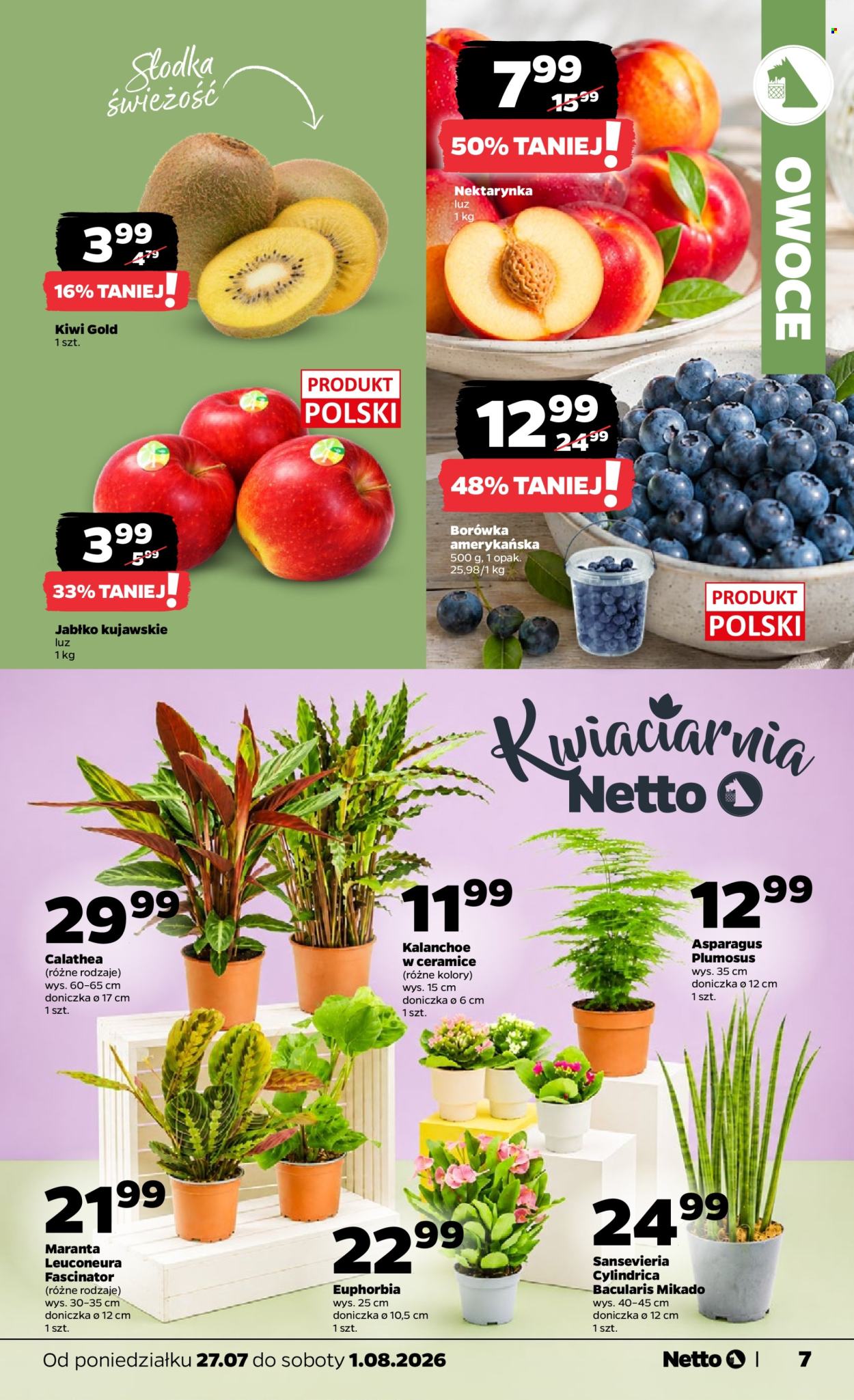 Gazetka Netto - 27.07.2026 - 1.08.2026. Strona 7
