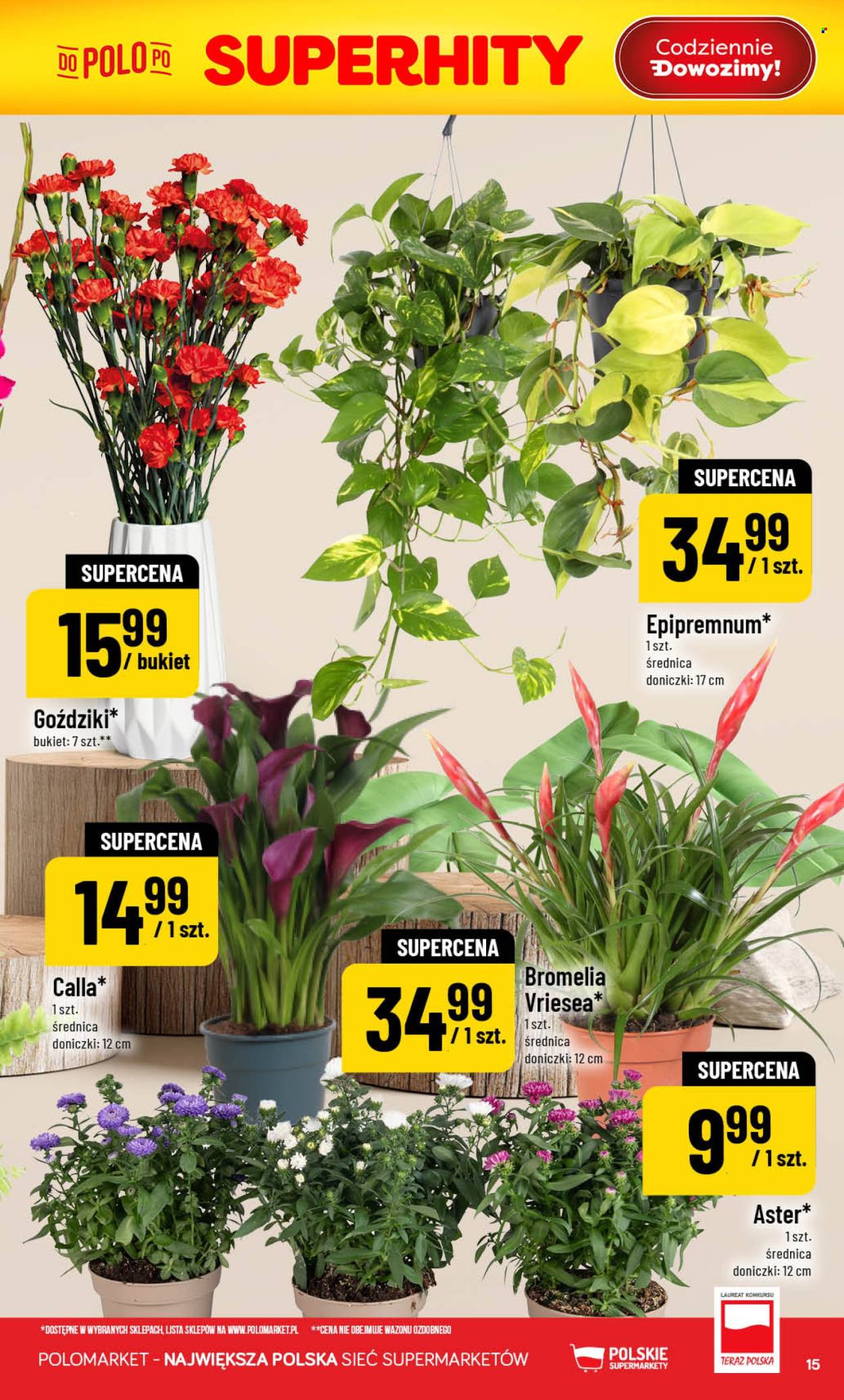 Gazetka Polomarket - 29.07.2026 - 4.08.2026. Strona 15