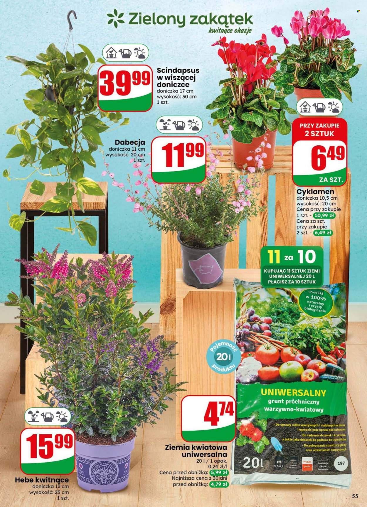 Gazetka Dino - 29.07.2026 - 4.08.2026. Strona 55
