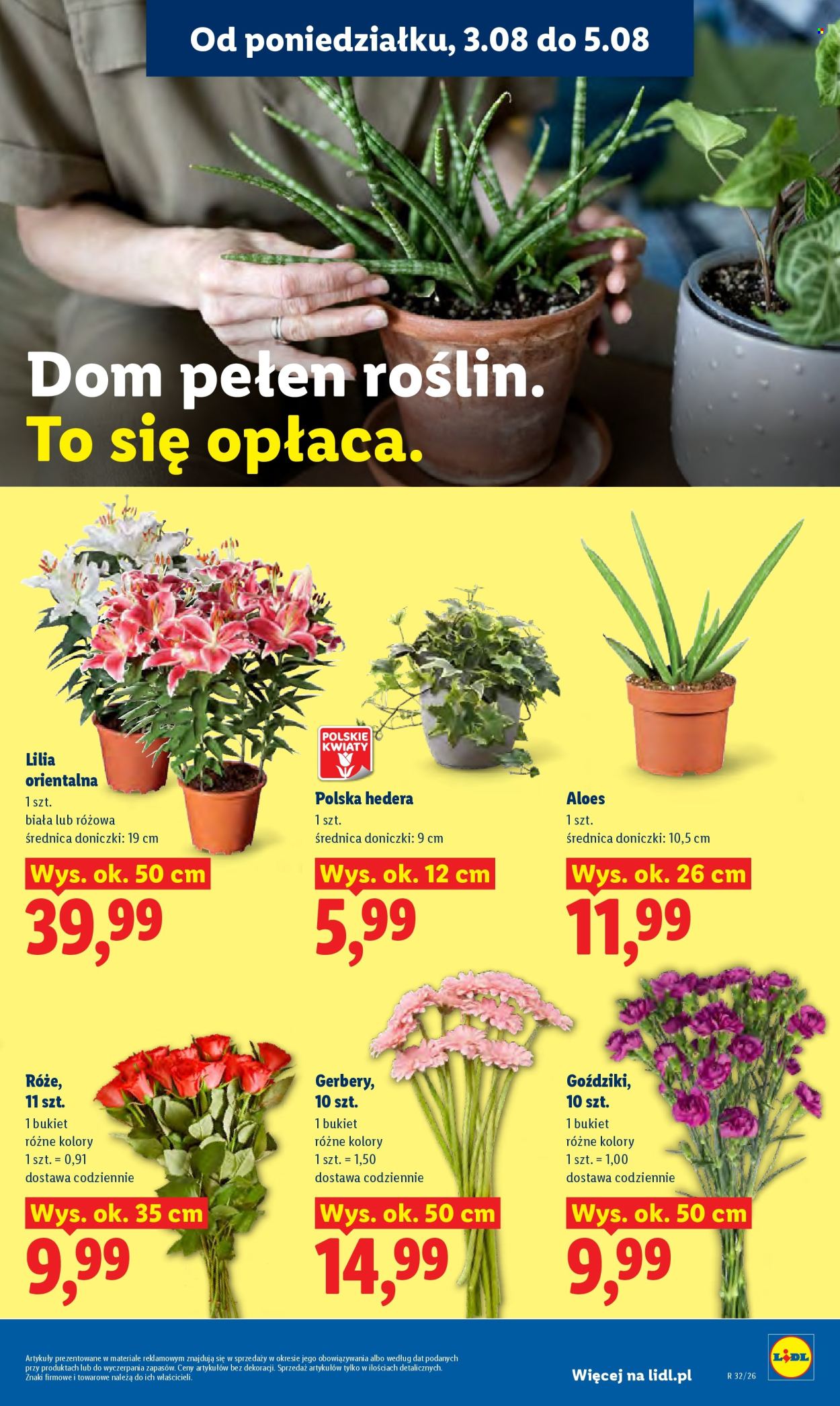 Leták Lidl - 3.8.2026 - 5.8.2026. Strana 91