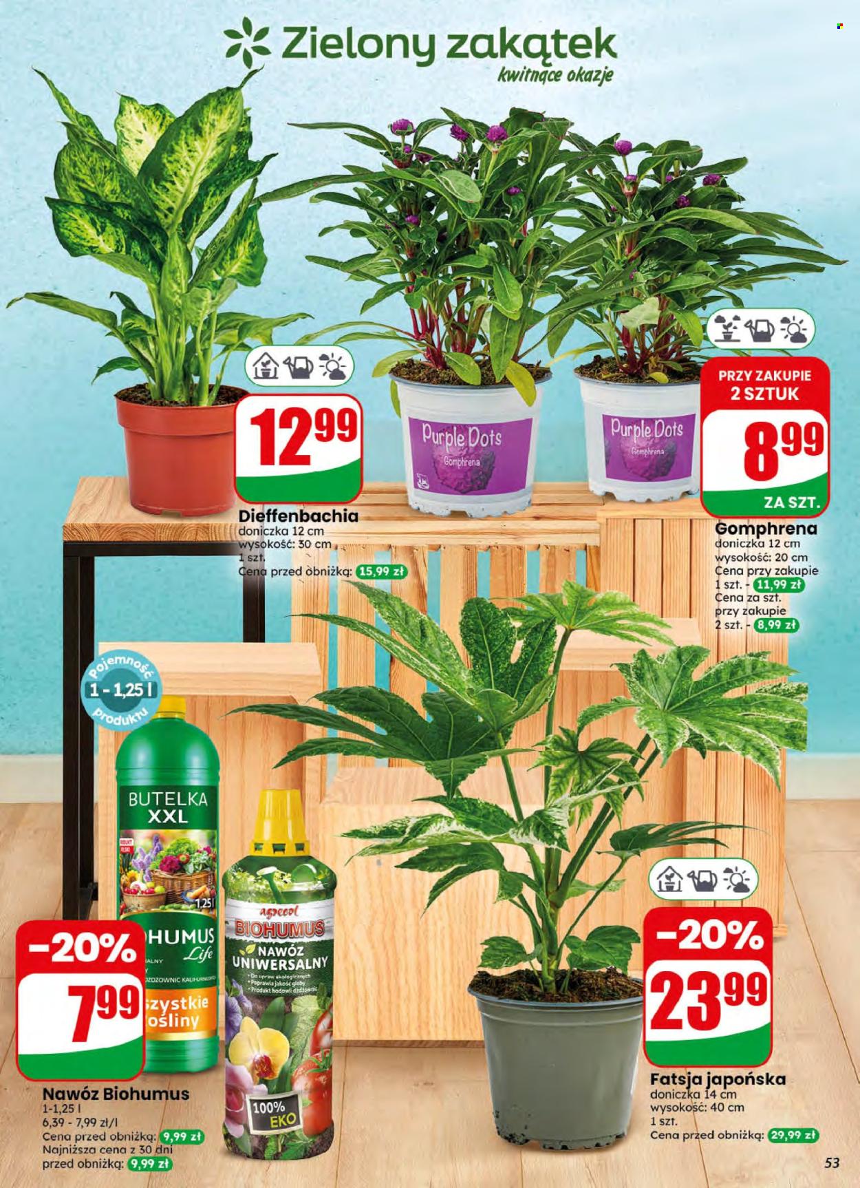 Gazetka Dino - 5.08.2026 - 11.08.2026. Strona 53