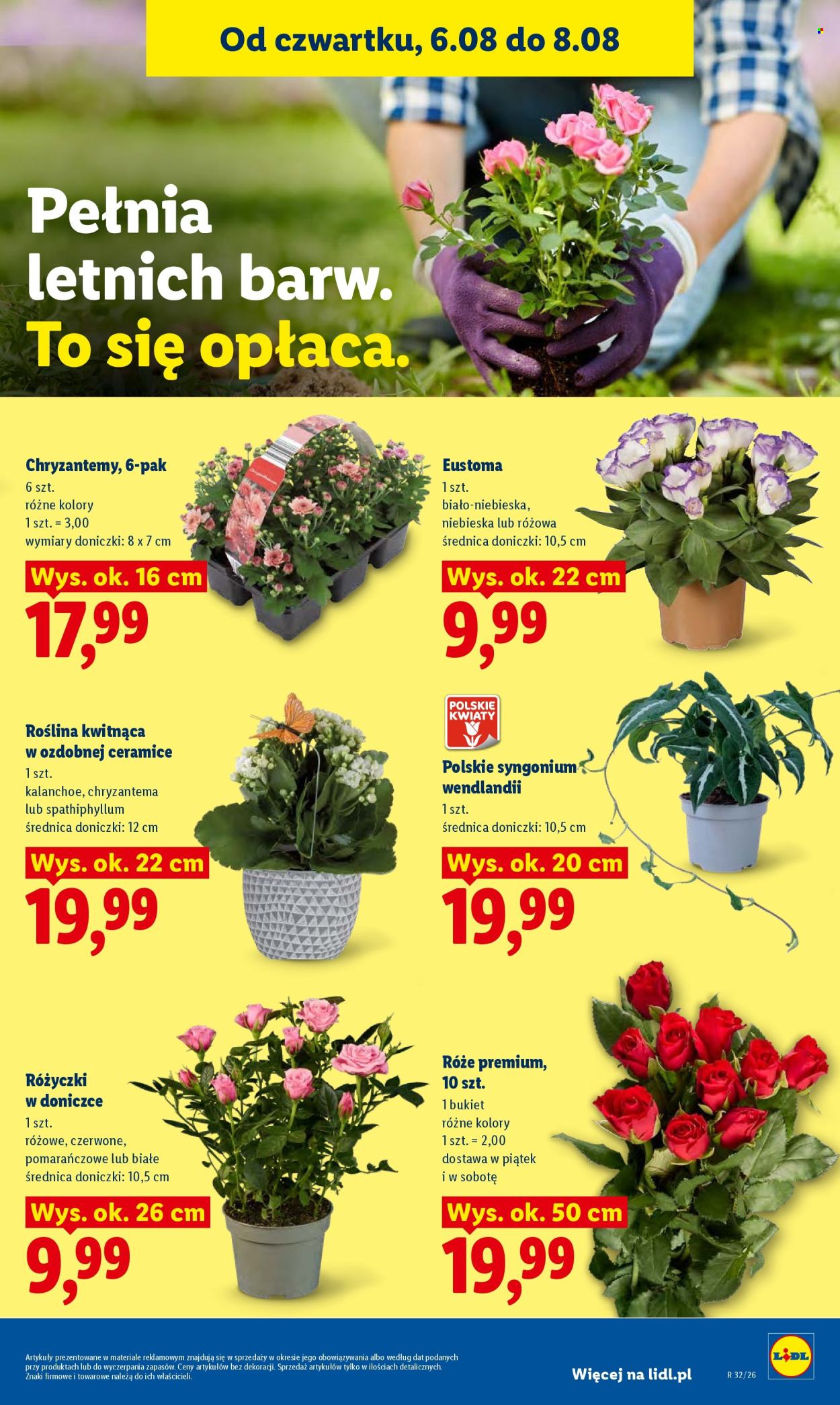 Leták Lidl - 6.8.2026 - 8.8.2026. Strana 87