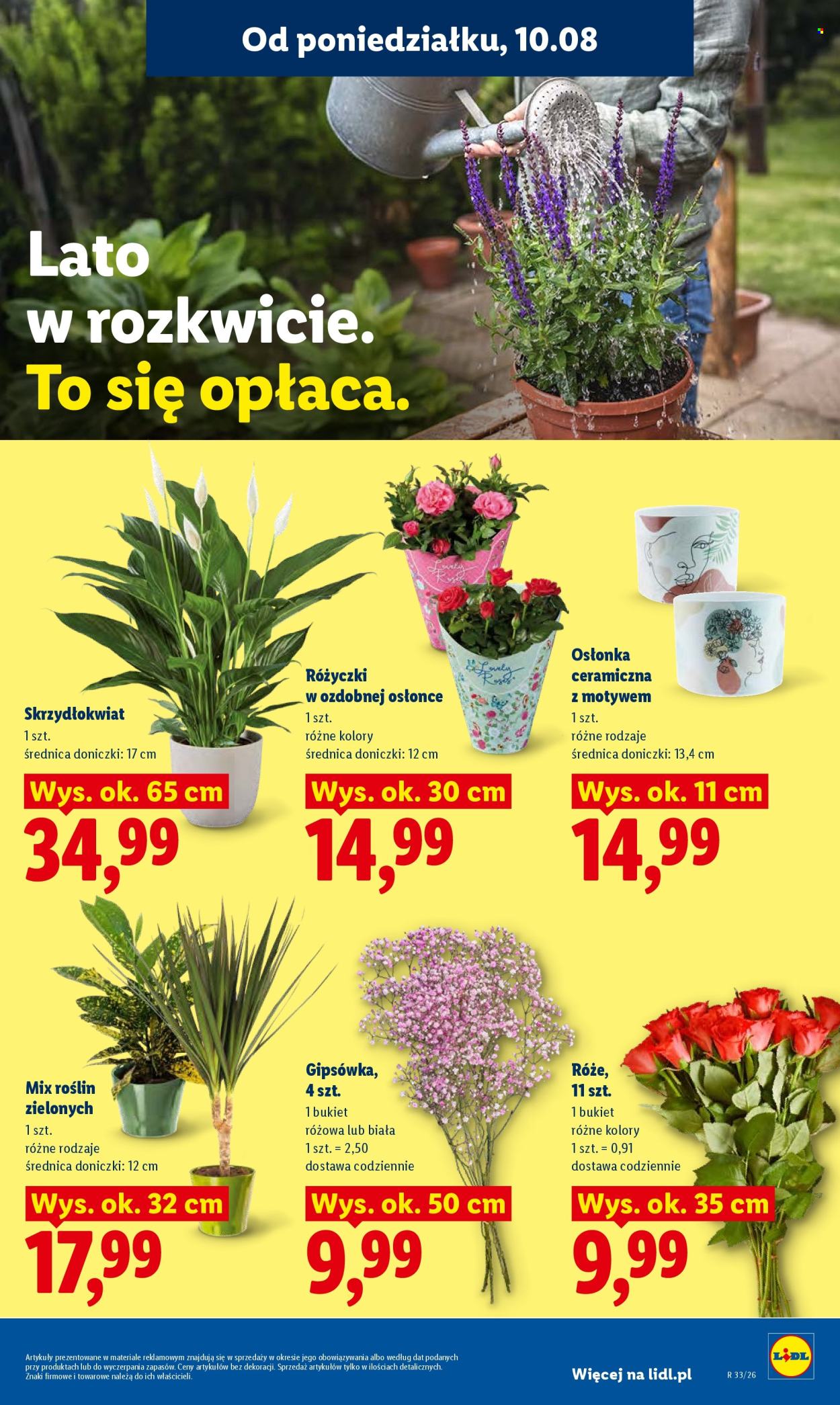 Gazetka Lidl - 10.08.2026 - 11.08.2026. Strona 93