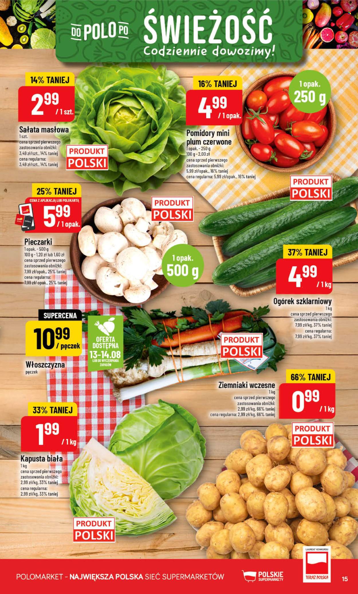 Gazetka Polomarket - 12.08.2026 - 18.08.2026. Strona 15