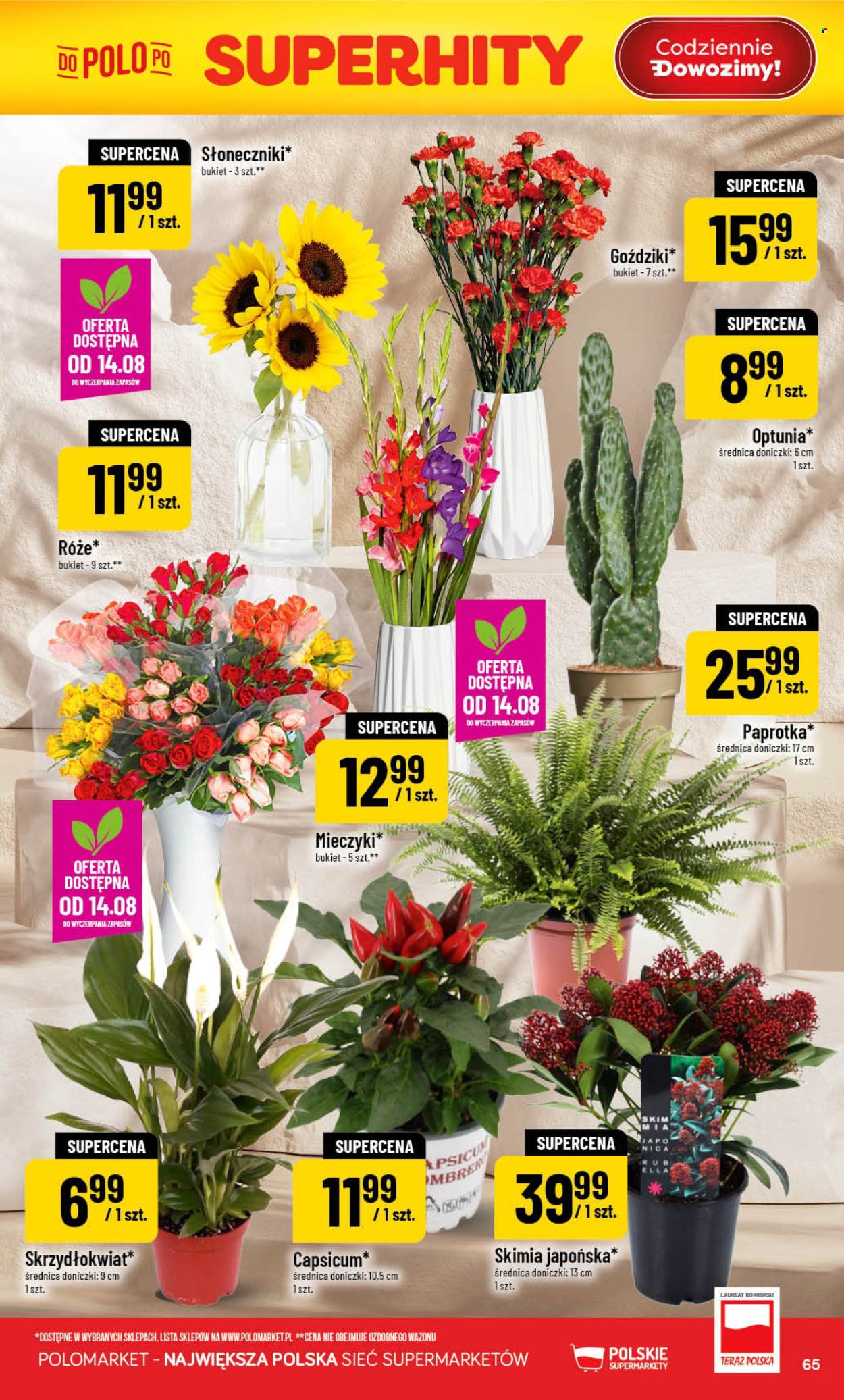 Gazetka Polomarket - 12.08.2026 - 18.08.2026. Strona 65