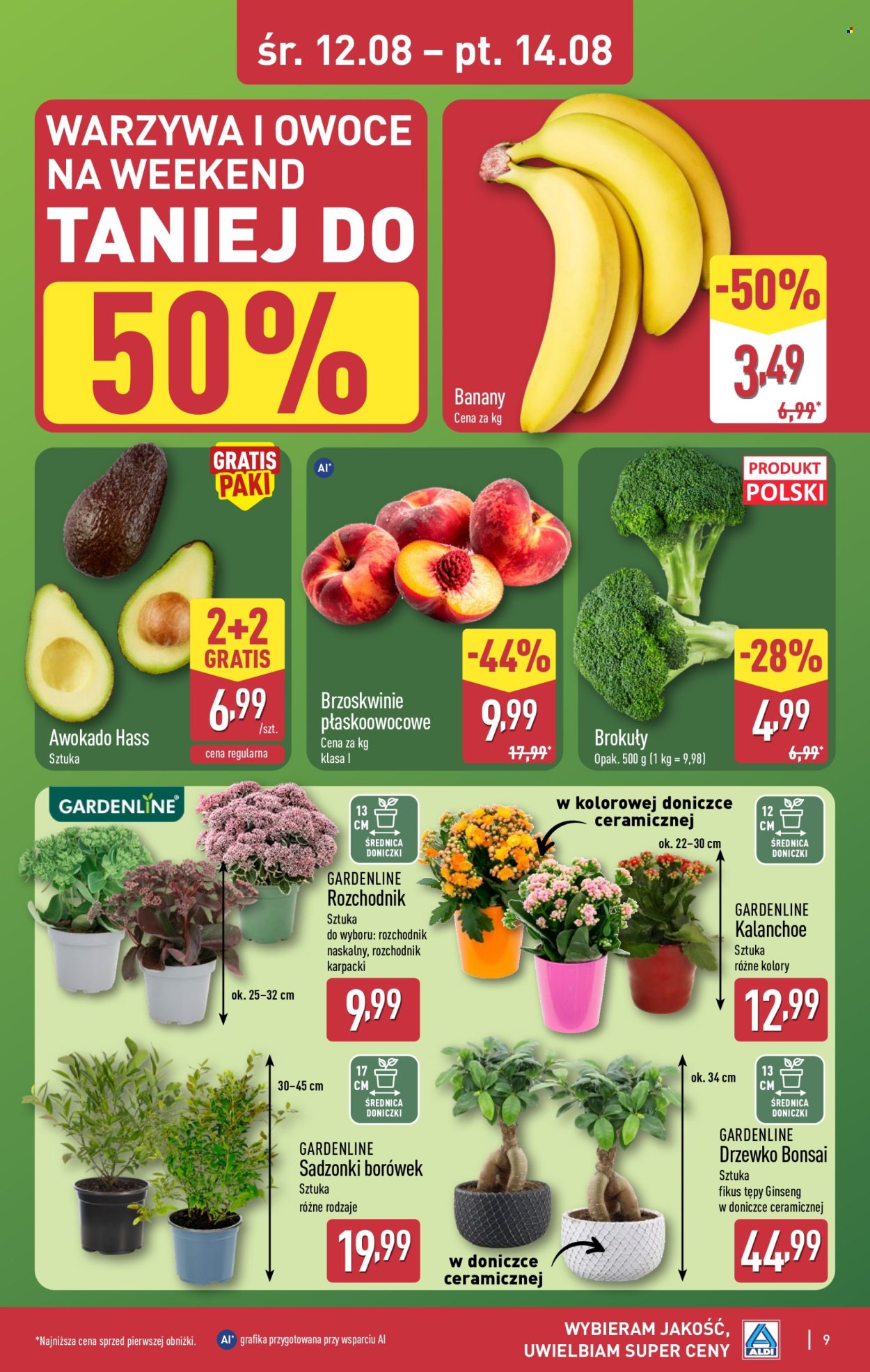 Gazetka ALDI - 12.08.2026 - 14.08.2026. Strona 9