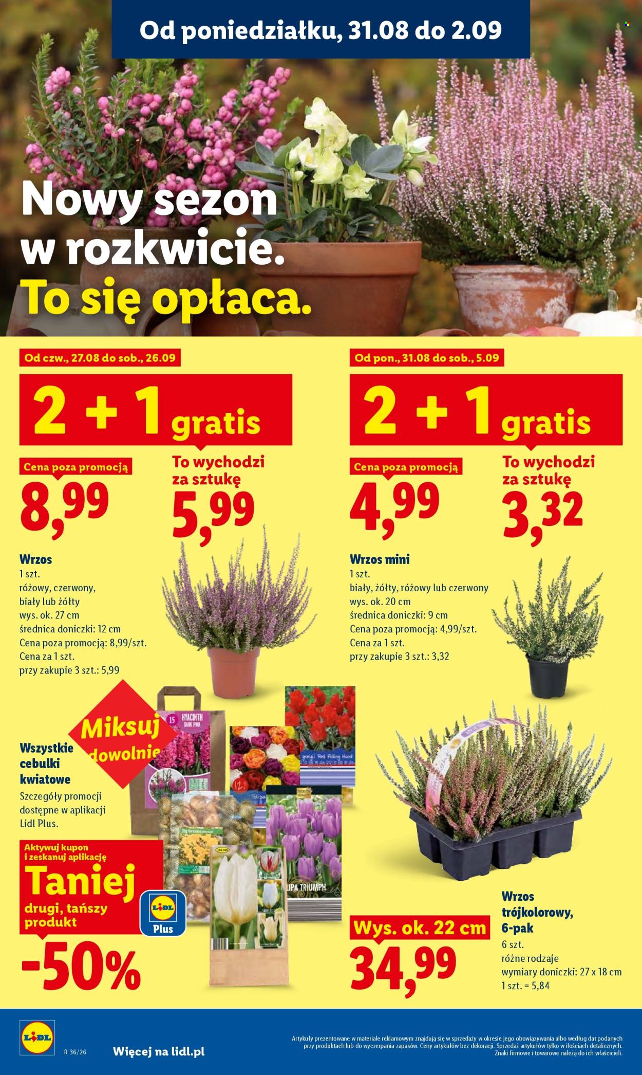 Gazetka Lidl - 31.08.2026 - 2.09.2026. Strona 86