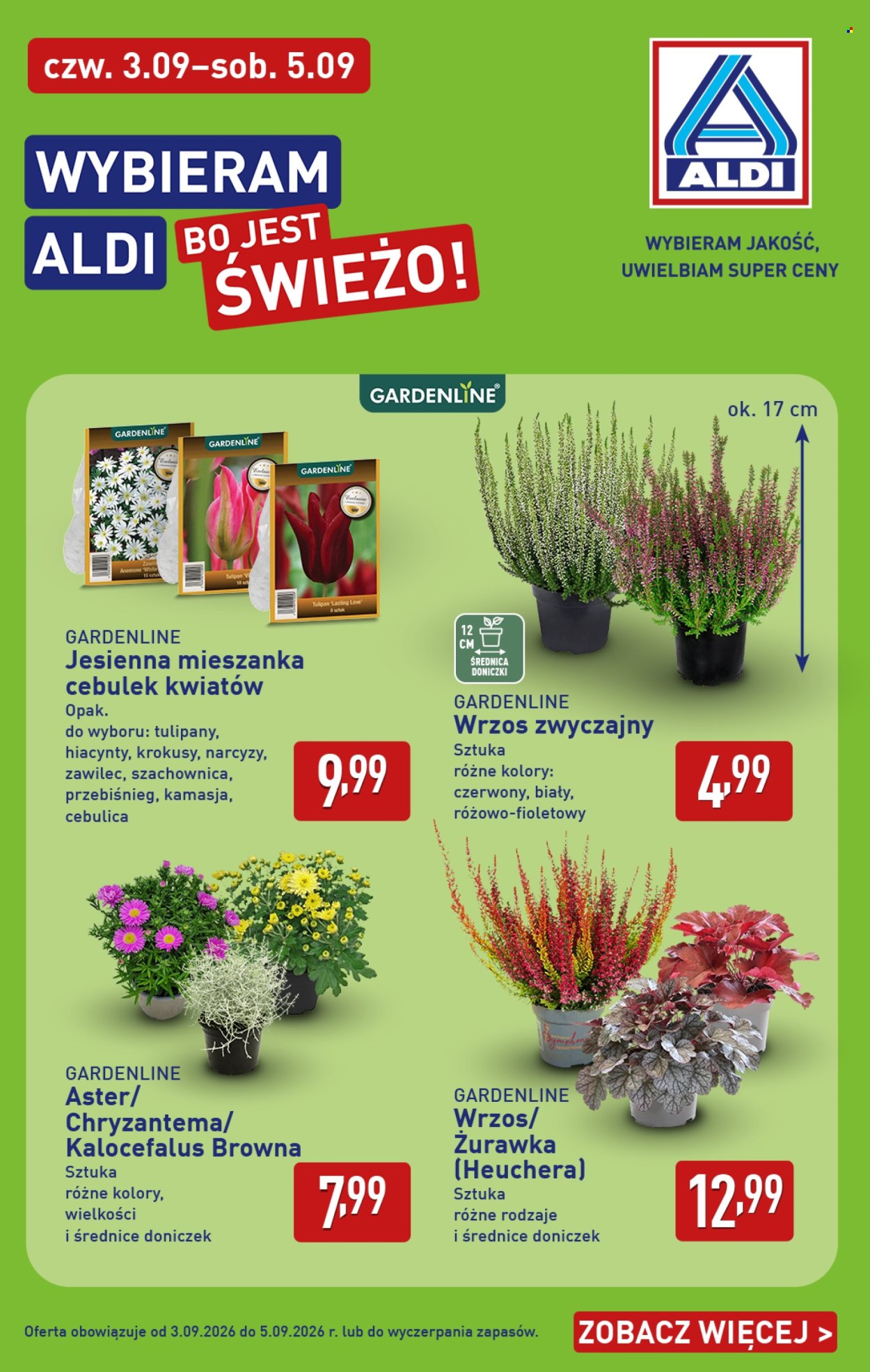 Gazetka ALDI - 31.08.2026 - 5.09.2026. Strona 38