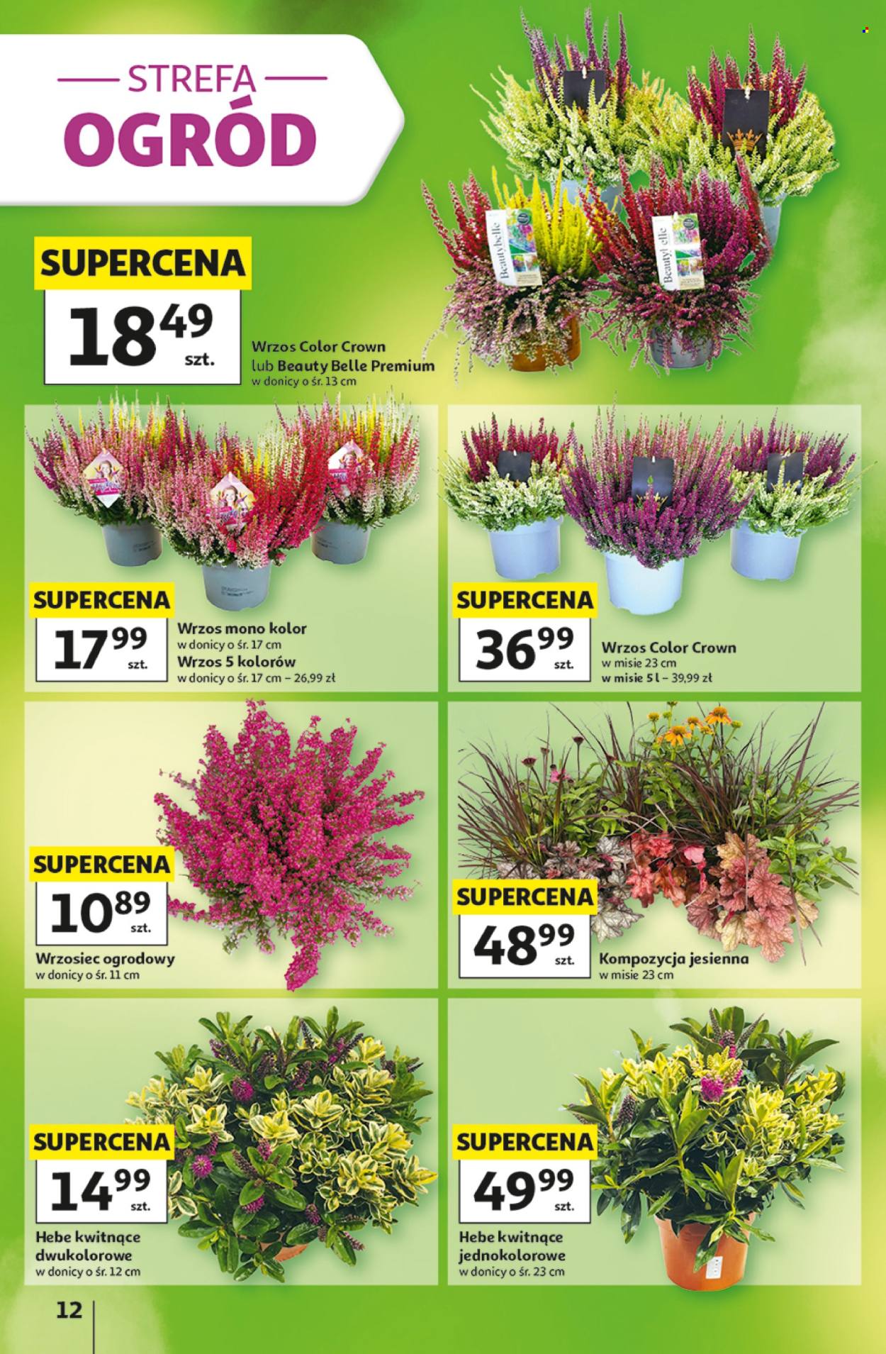 Gazetka Auchan - 3.09.2026 - 9.09.2026. Strona 12