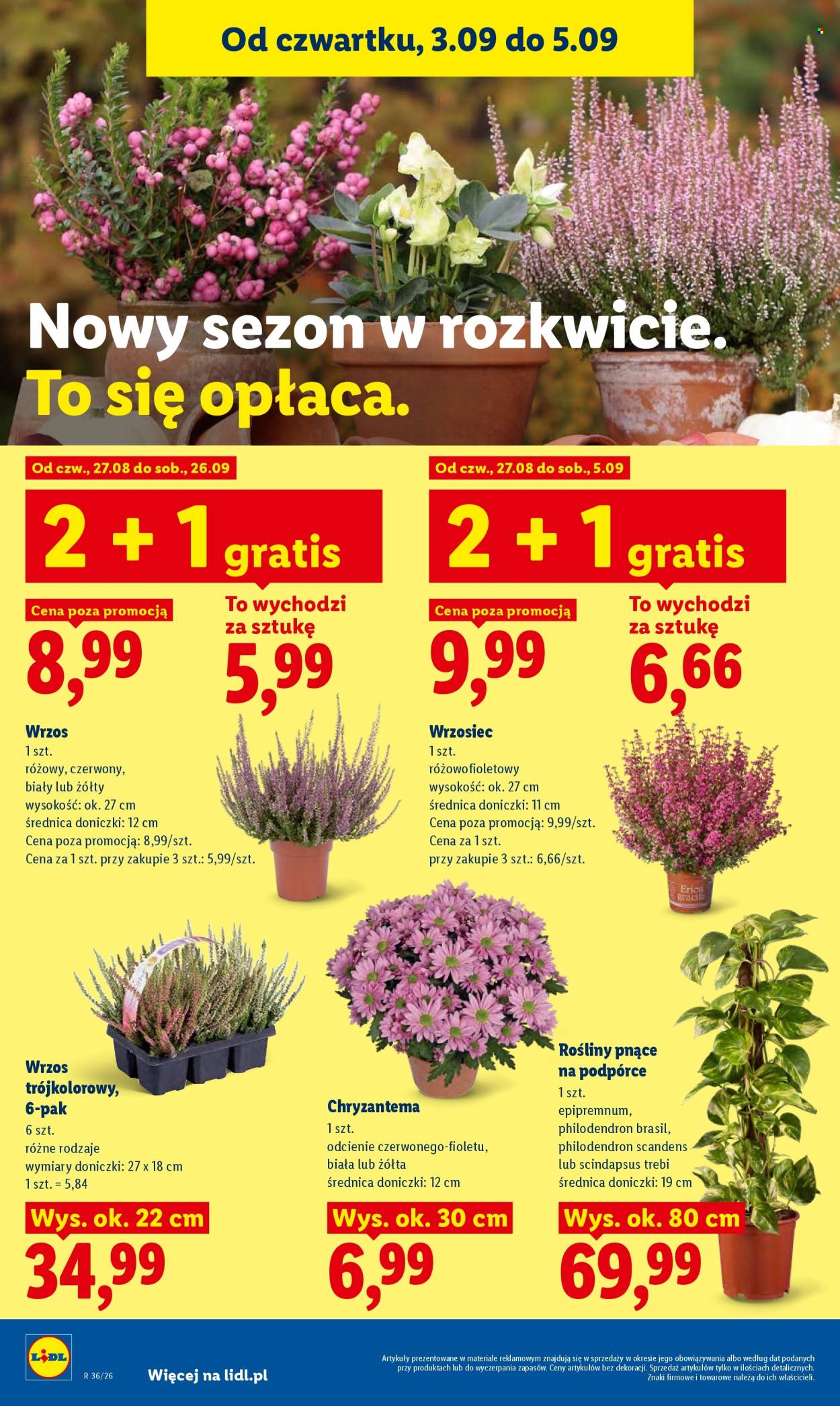 Gazetka Lidl - 3.09.2026 - 5.09.2026. Strona 90