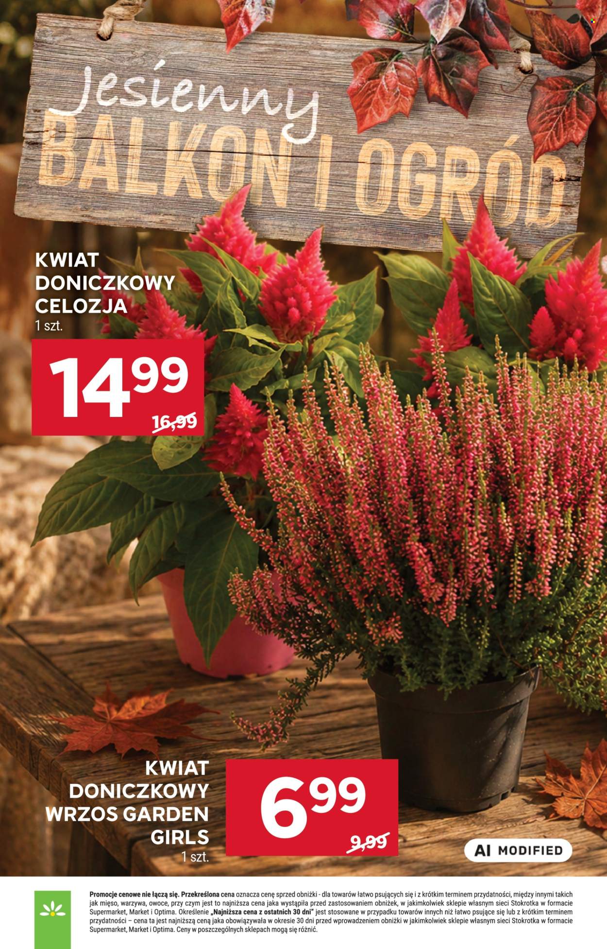 Gazetka Stokrotka Supermarket - 3.09.2026 - 9.09.2026. Strona 56