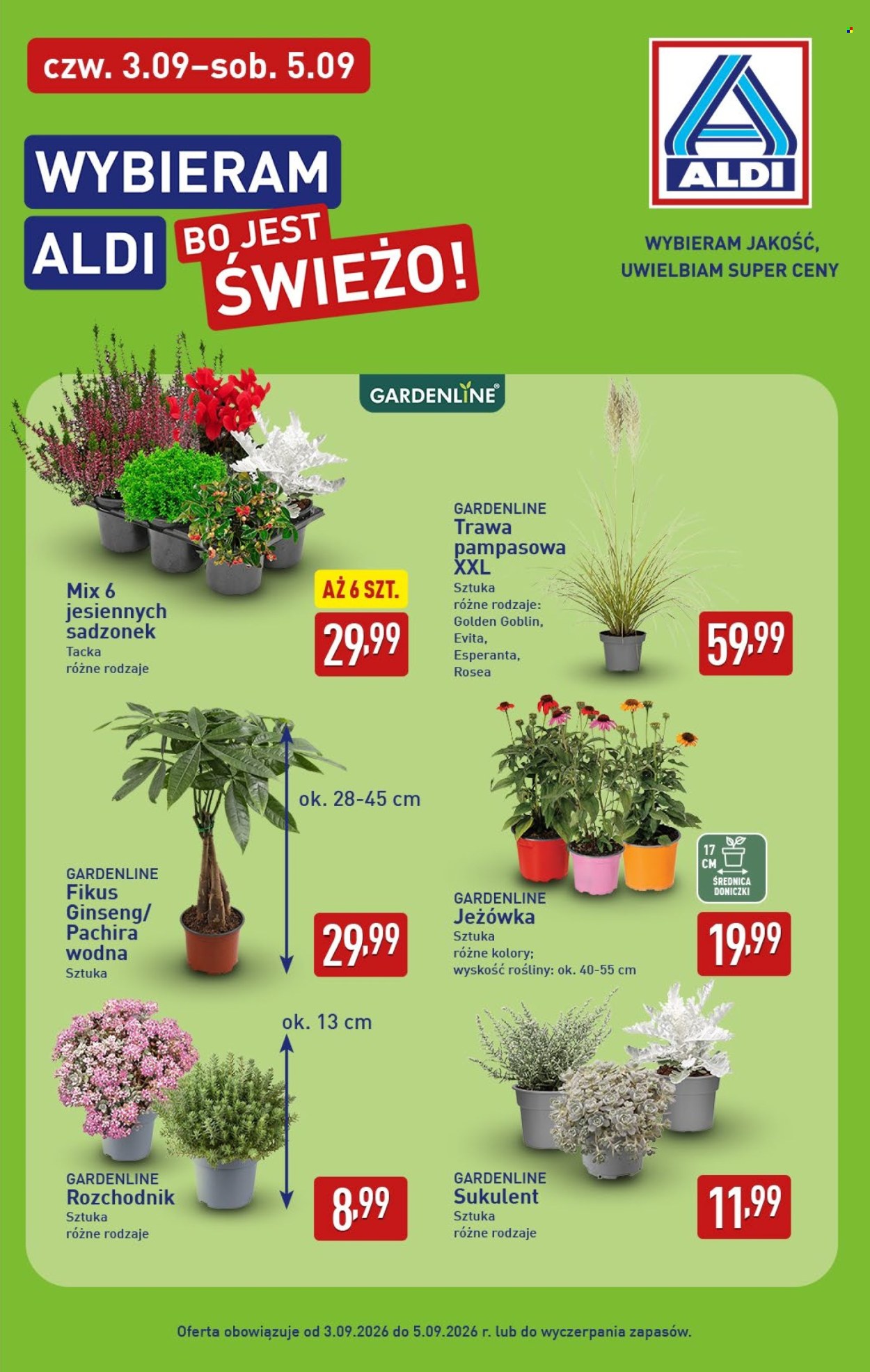 Gazetka ALDI - 3.09.2026 - 5.09.2026. Strona 7