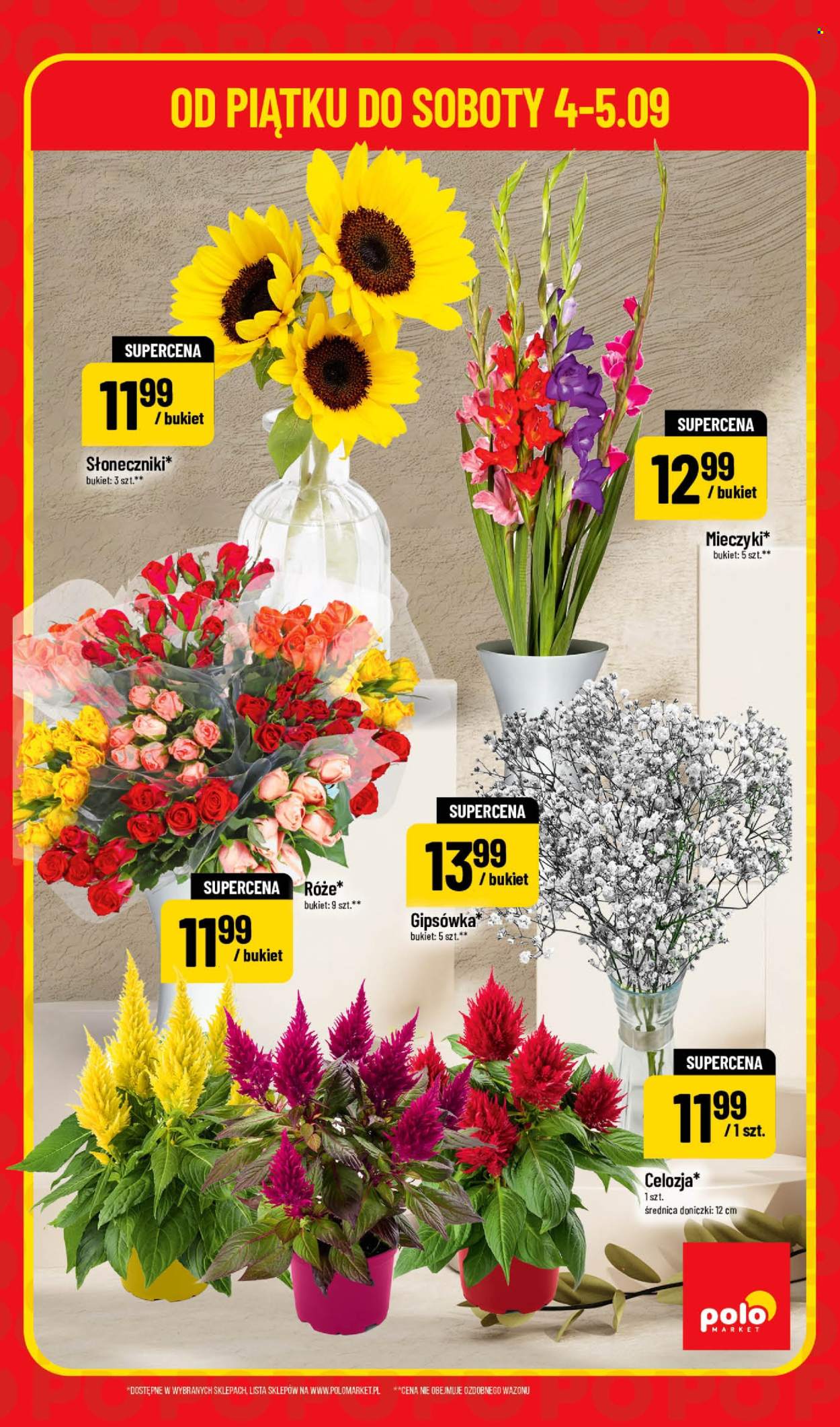 Gazetka Polomarket - 4.09.2026 - 5.09.2026. Strona 5