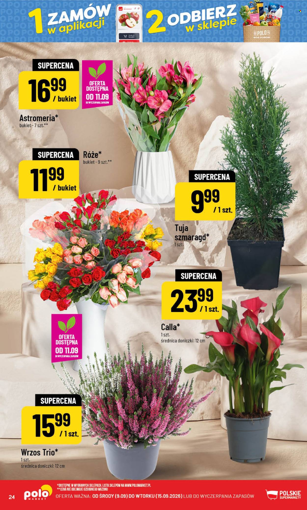 Gazetka Polomarket - 9.09.2026 - 15.09.2026. Strona 24