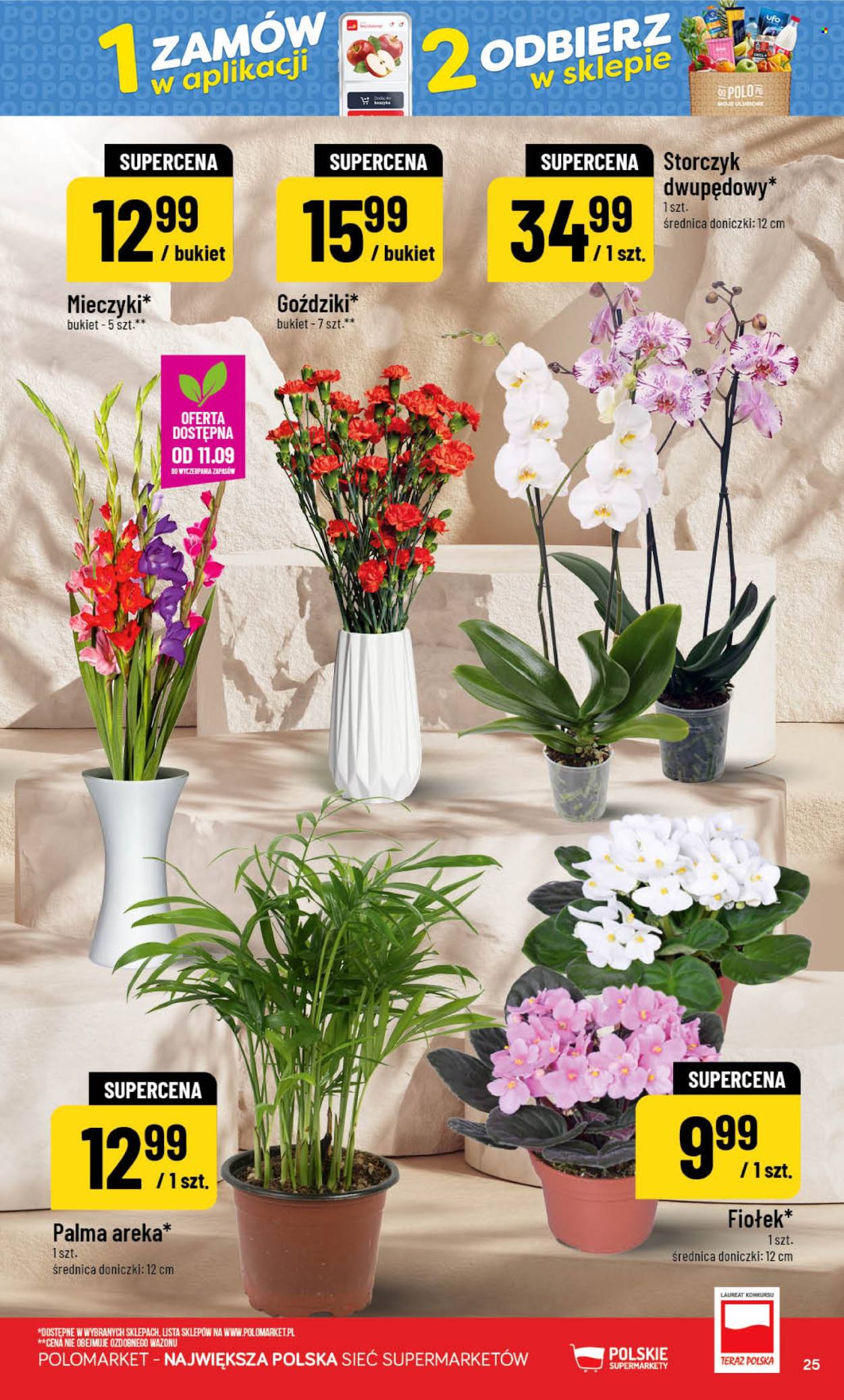Gazetka Polomarket - 9.09.2026 - 15.09.2026. Strona 25