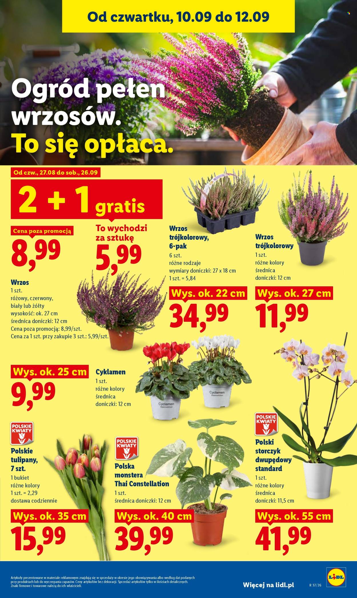 Gazetka Lidl - 10.09.2026 - 12.09.2026. Strona 83