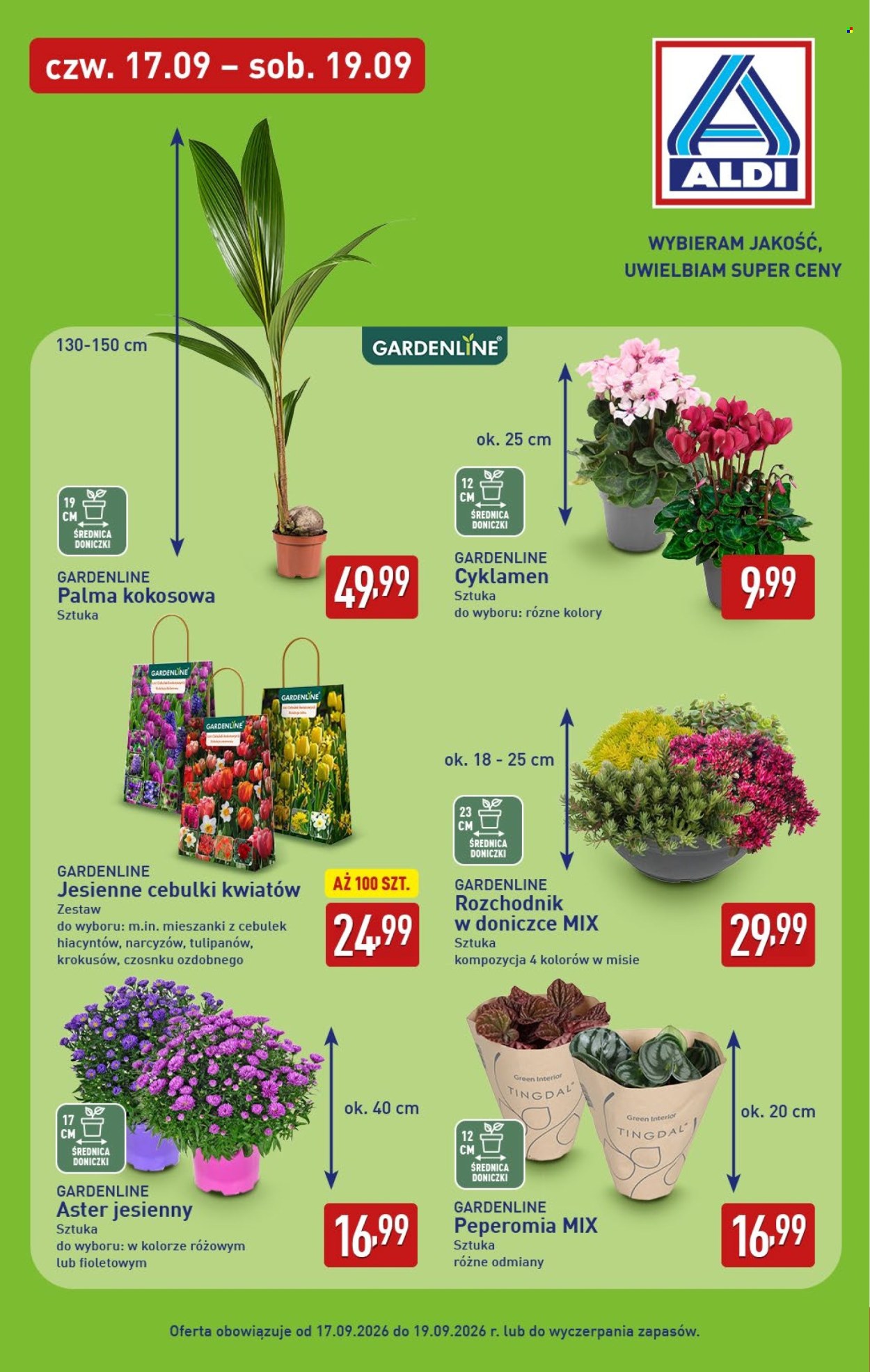 Gazetka ALDI - 14.09.2026 - 19.09.2026. Strona 33